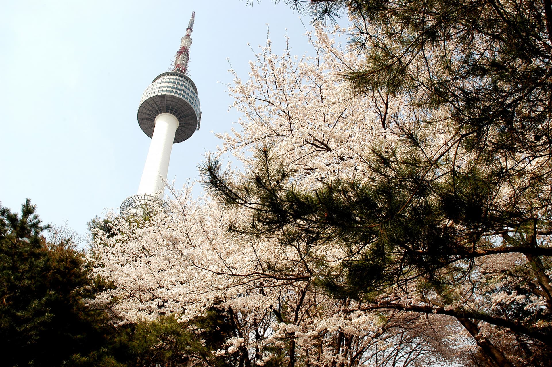 N Seoul Tower Ticket - 이미지 3