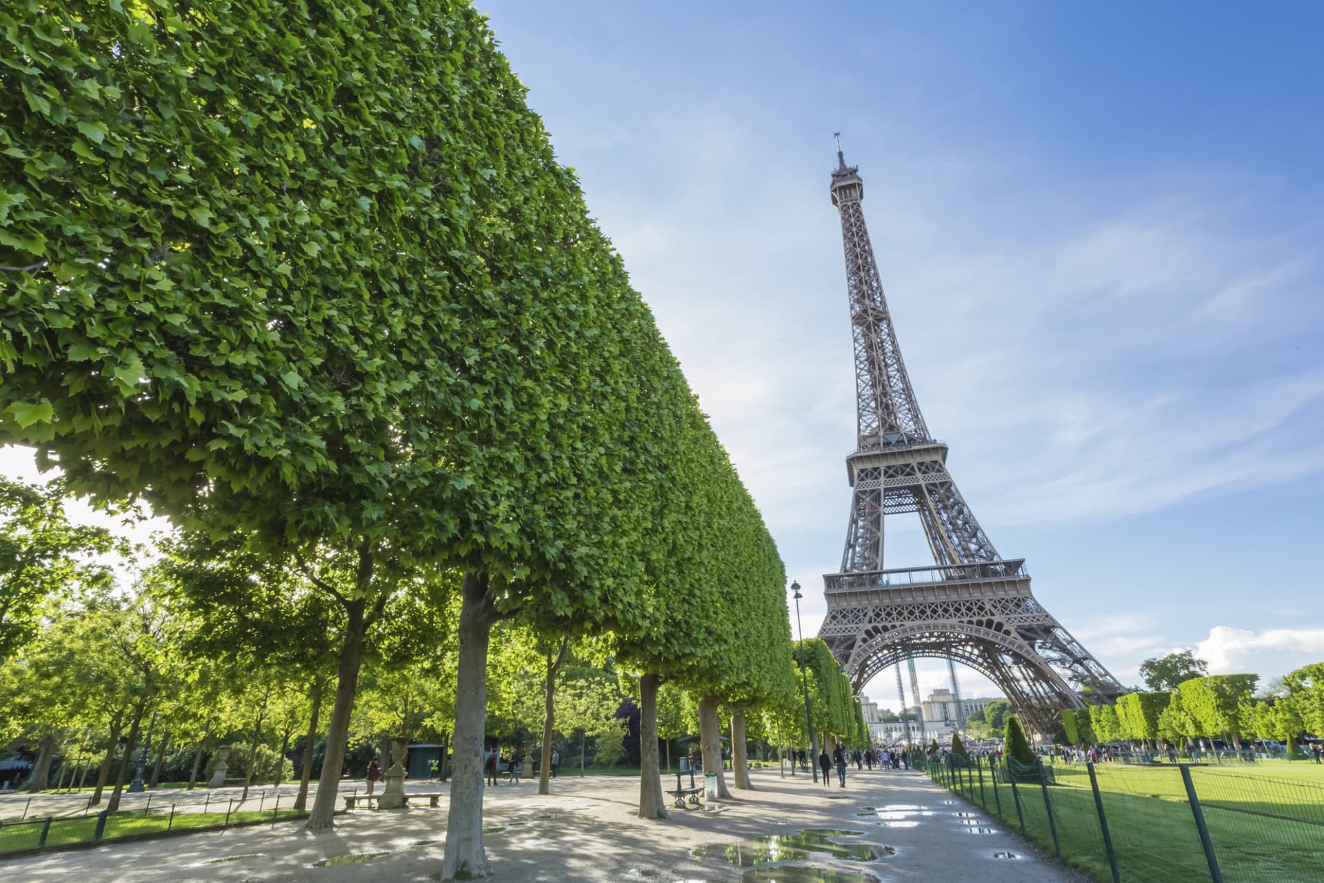 Paris Open-Top Bus Tour, Seine River Cruise, and Eiffel Tower Dining Experience - image 2