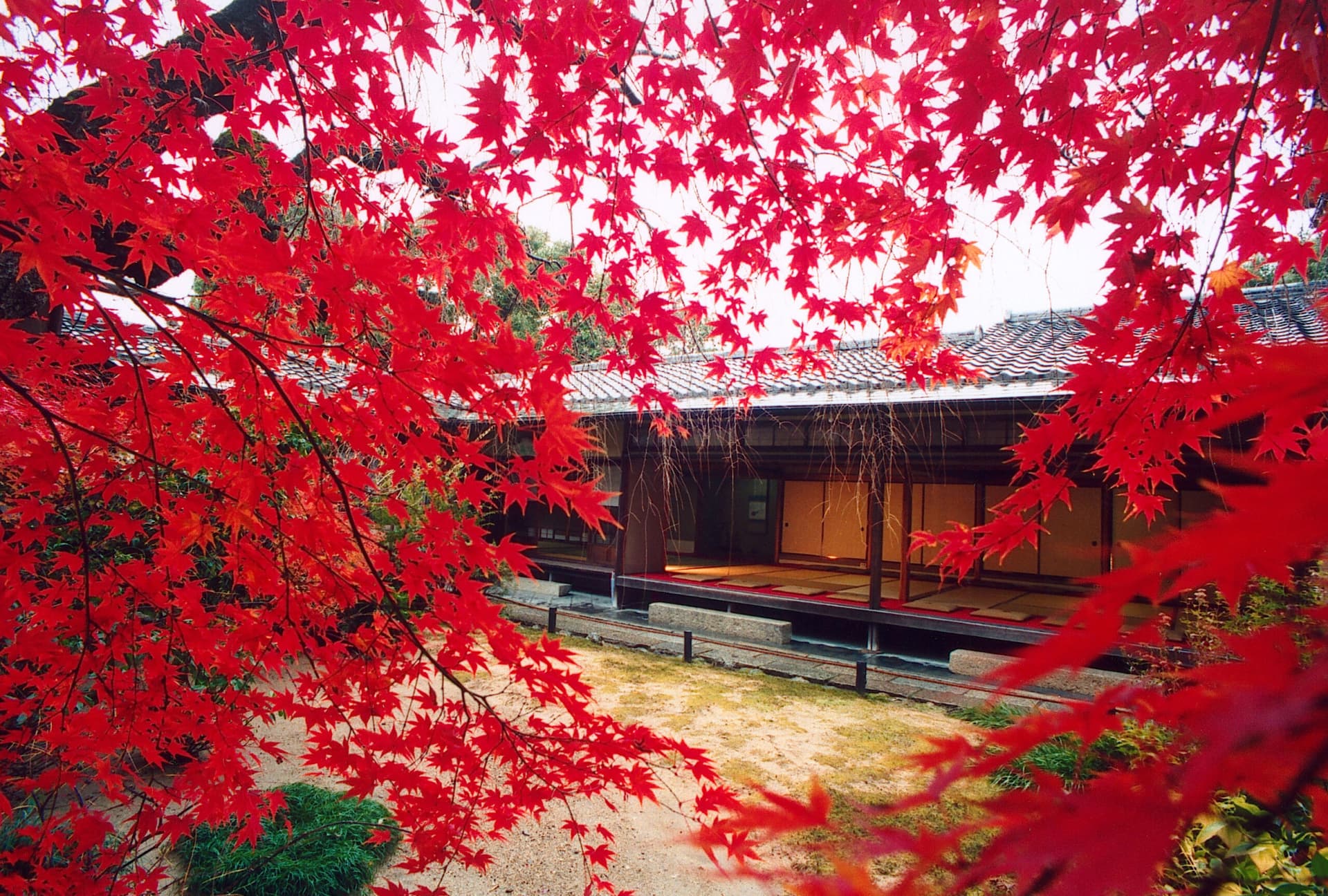Myoshinji Temple Self-Guided Tour with Lunch - image 3