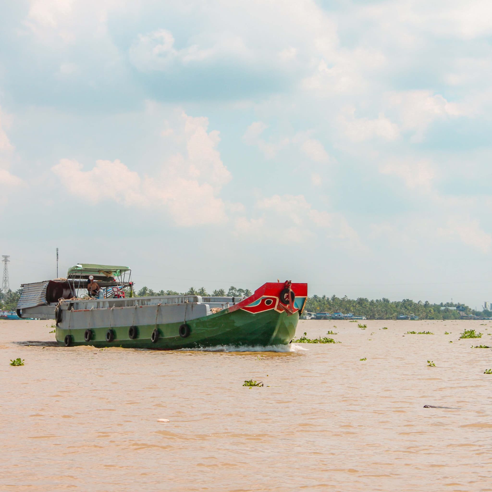 Cu Chi Tunnels and Mekong Delta Full-Day Tour from Ho Chi Minh - image 13