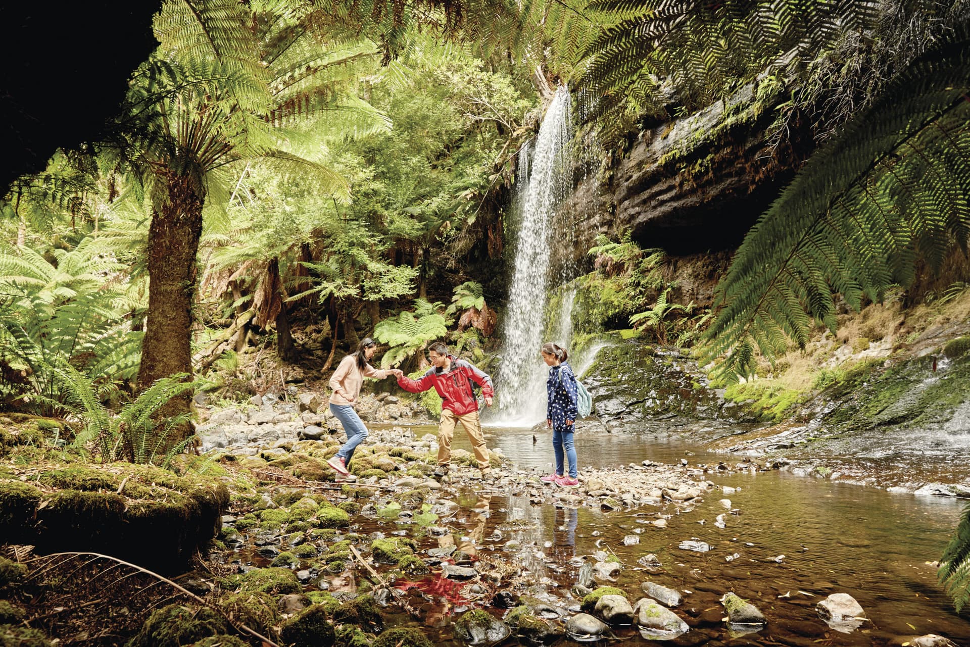 Russell Falls Tour from Hobart - main image