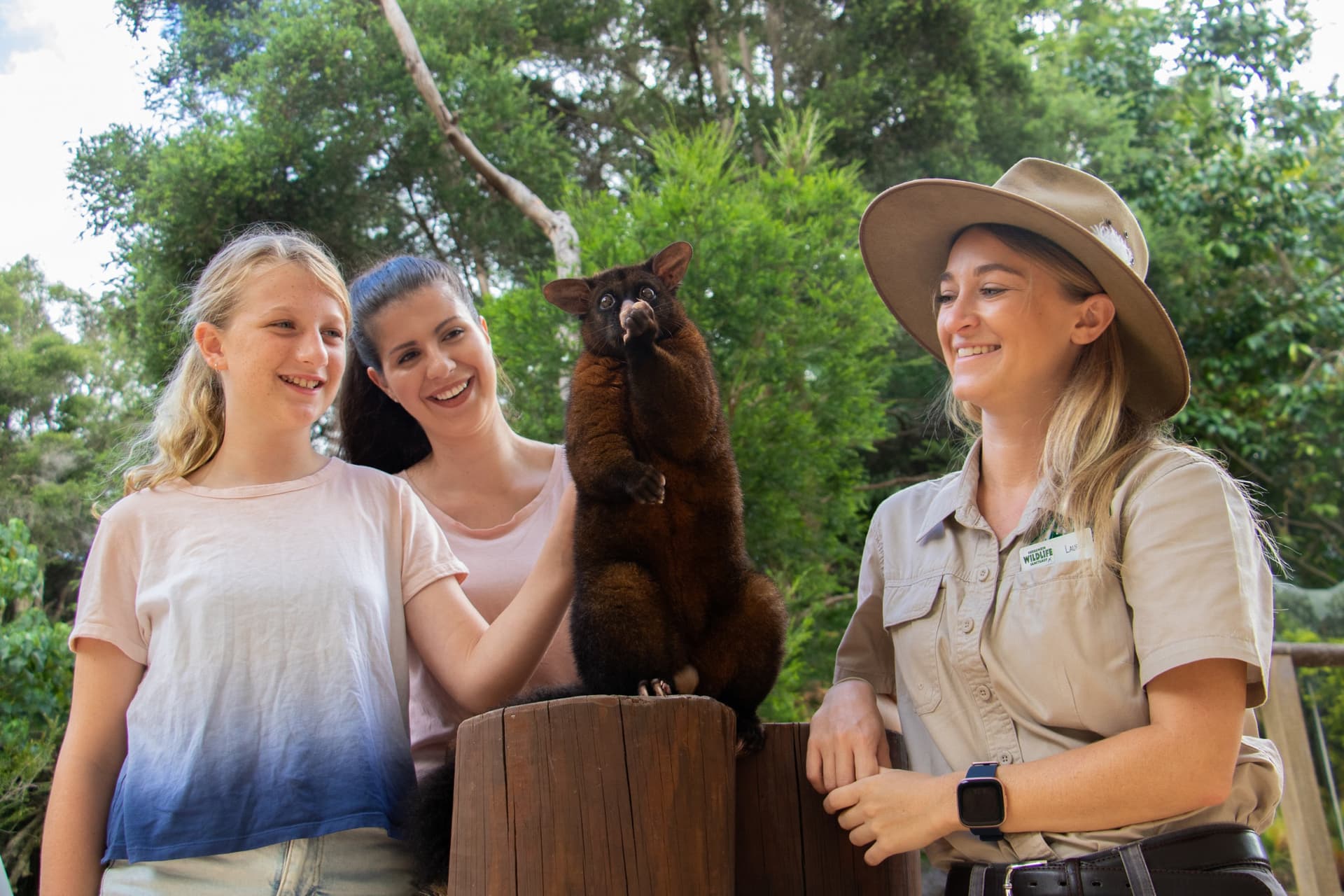 Currumbin Wildlife Sanctuary Gold Coast Ticket - image 13