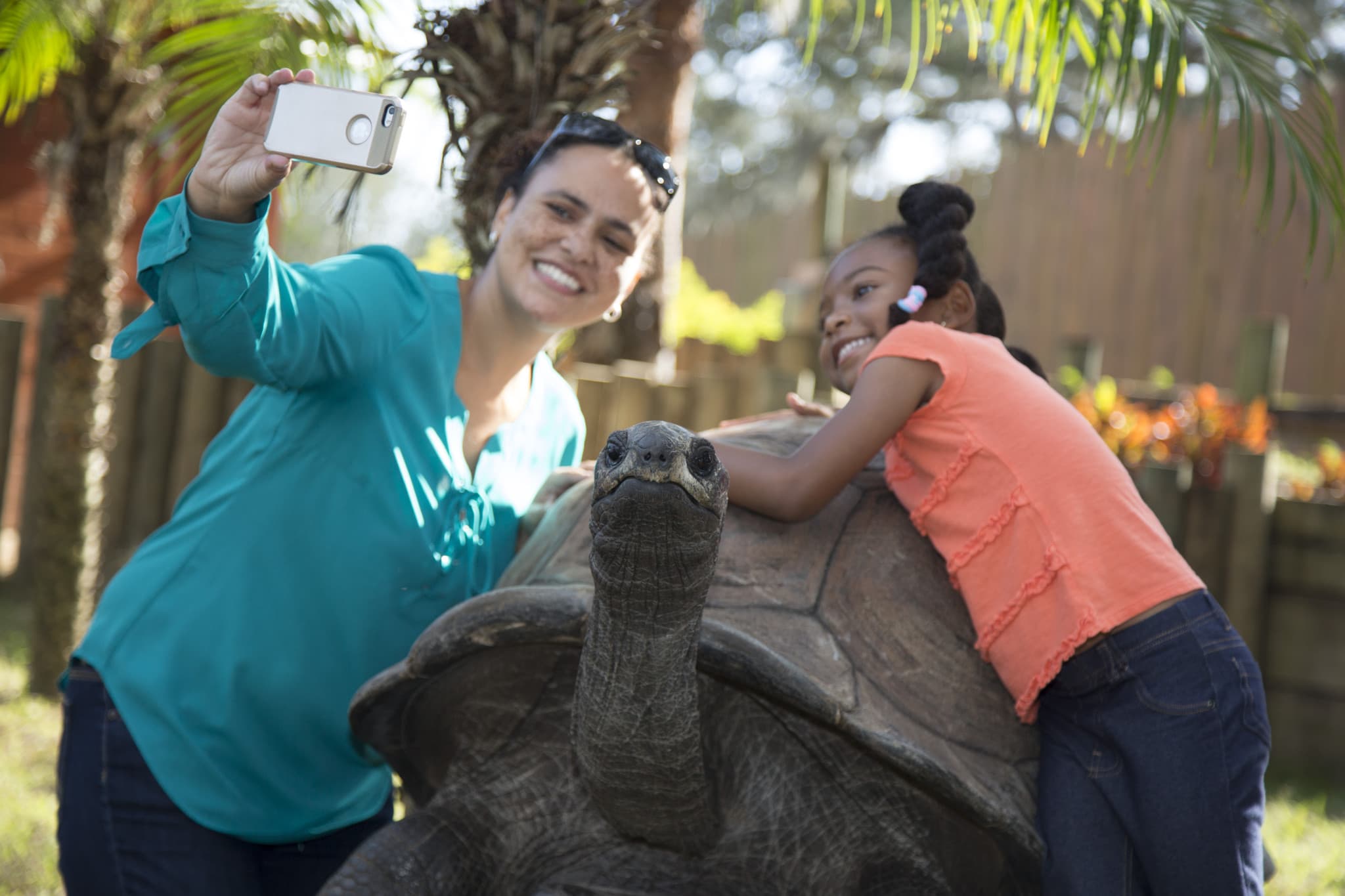 Go City Orlando All-Inclusive Pass: Save up to 50% on Attractions - image 38