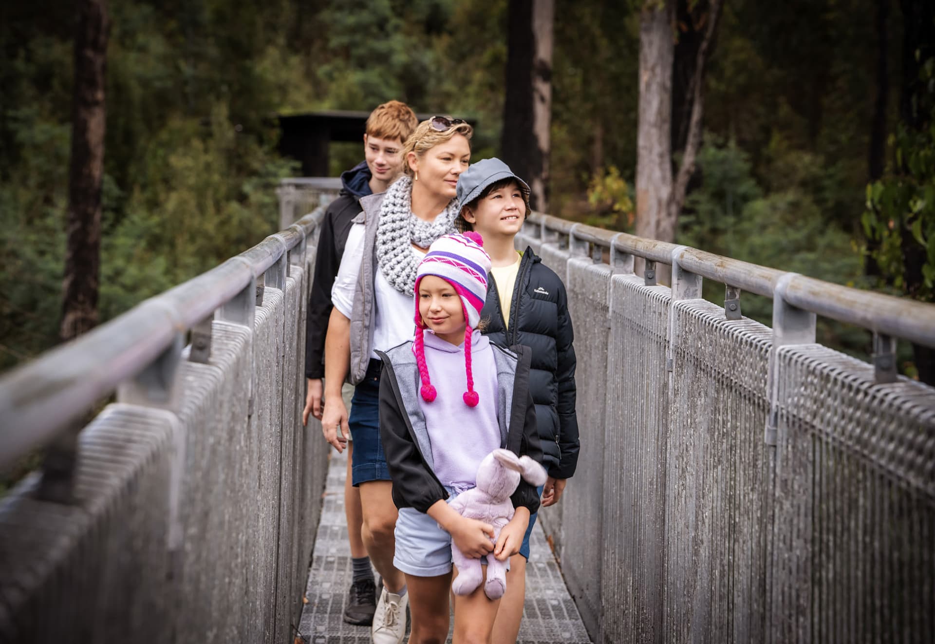 Tahune AirWalk Ticket - image 2