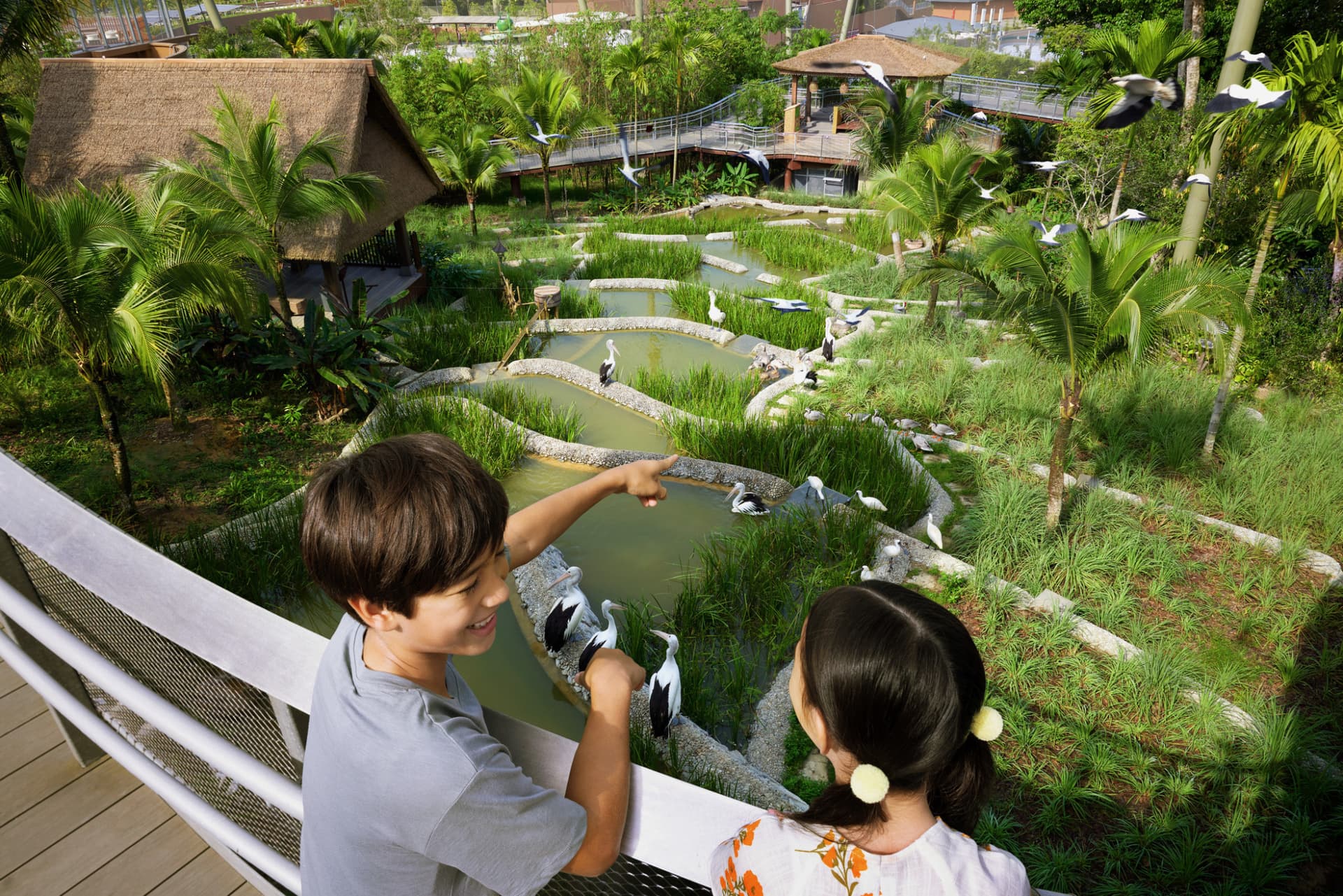 COMBO: River Wonders + Bird Paradise Ticket - imagen 11