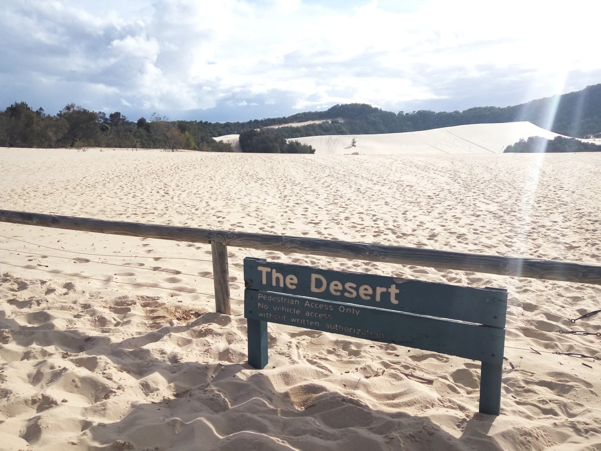 Moreton Island 1-Day Adventure Tour with Kayaking and Sandboarding - image 9