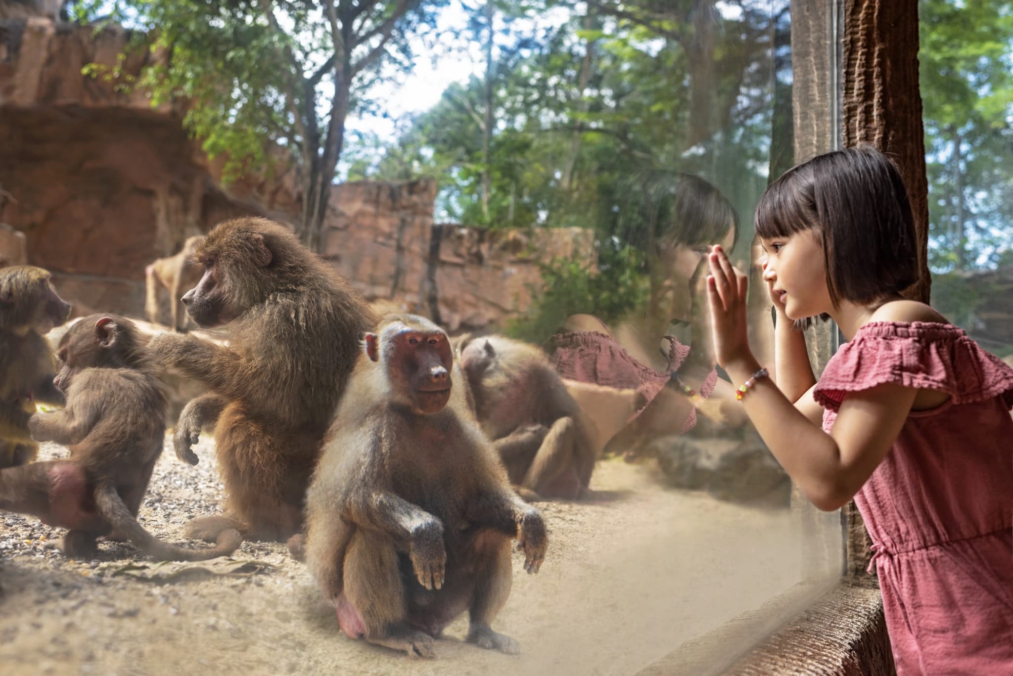 COMBO: Singapore Zoo + River Wonders Ticket - image 8
