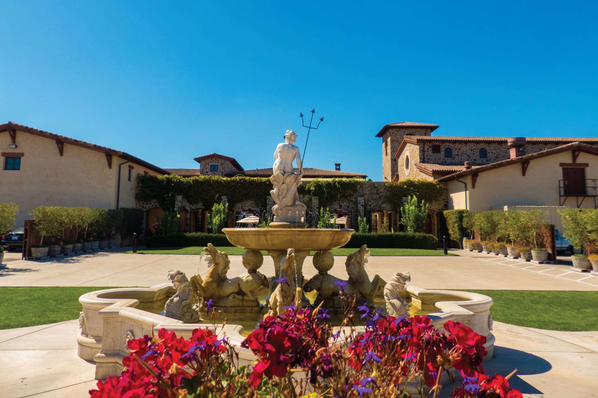 San Francisco Half-Day Wine Country Tour - image 2