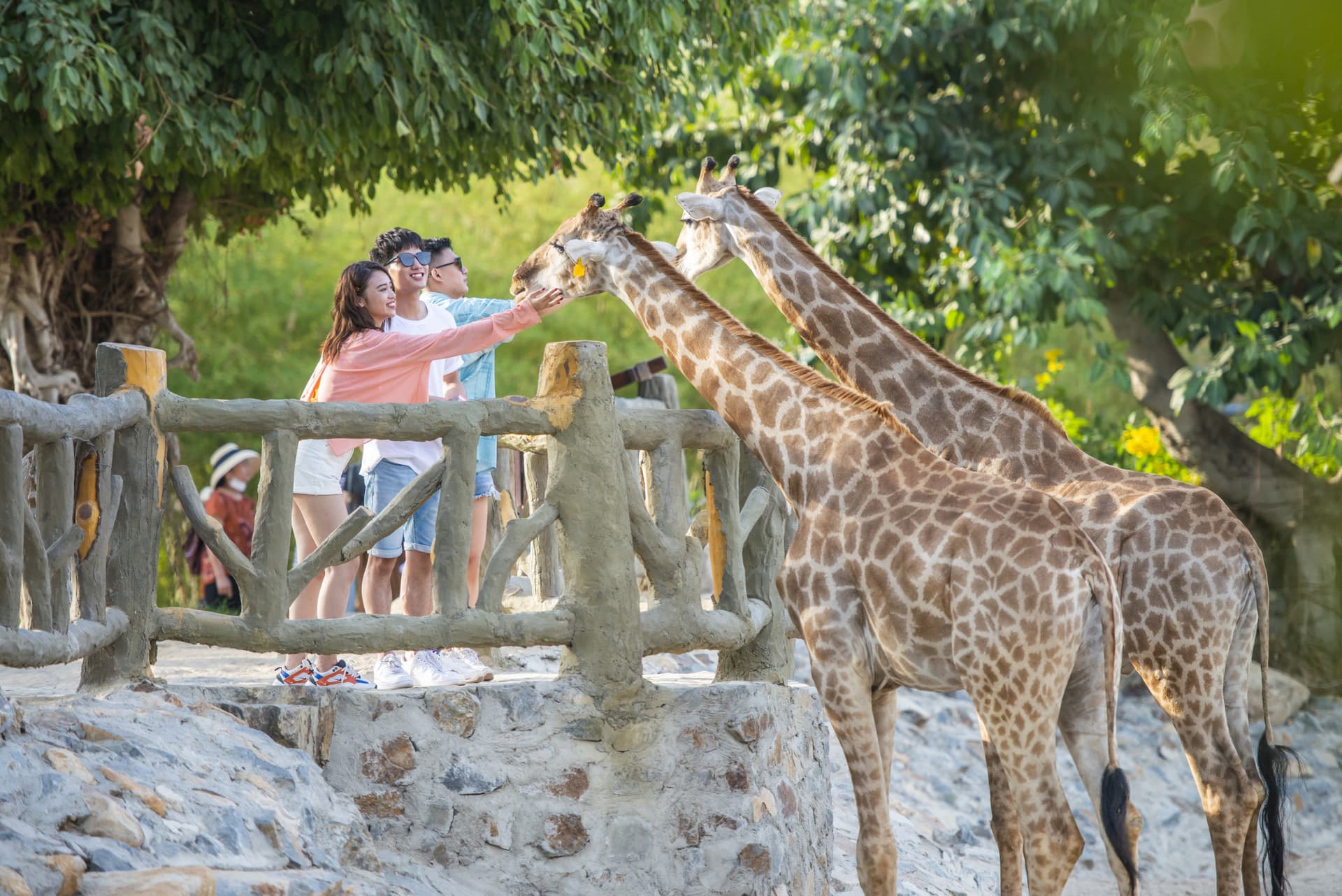 Entrada al parque de atracciones VinWonders Nha Trang - imagen 12