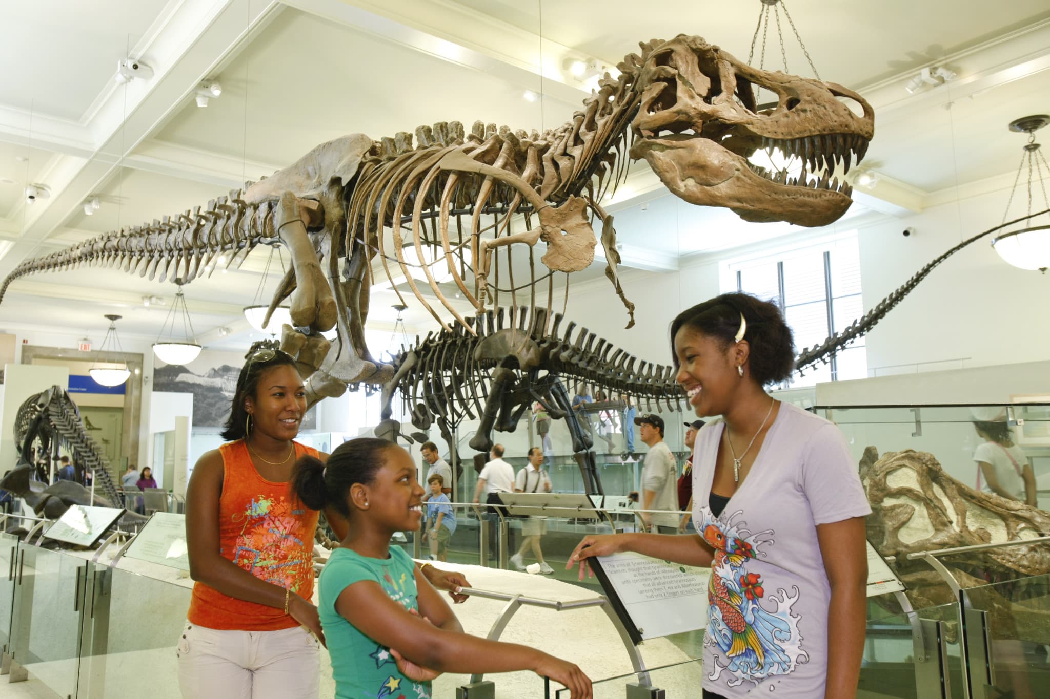 Go City New York Explorer Pass: Save up to 50% on Attractions - image 10