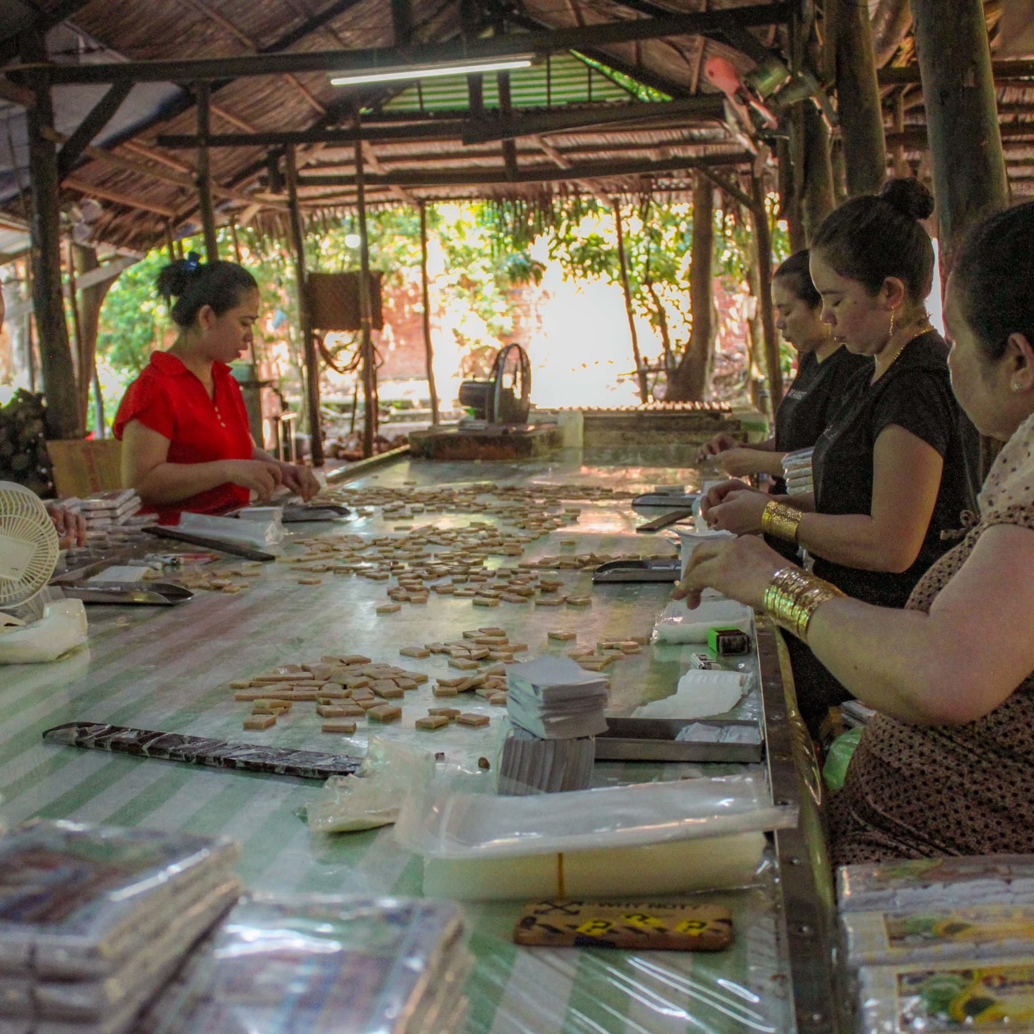 Cu Chi Tunnels and Mekong Delta Full-Day Tour from Ho Chi Minh - image 21