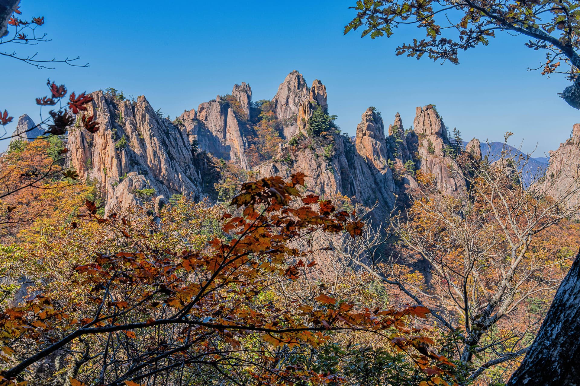 Tour de un día para ver el follaje otoñal en el Parque Nacional del Monte Seorak desde Seúl - imagen 9