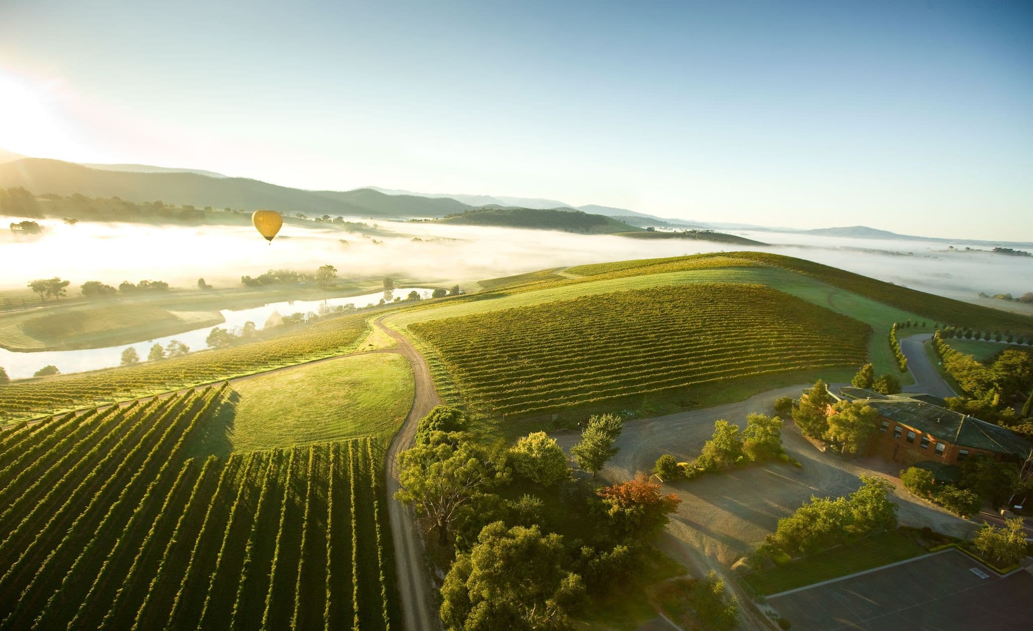 Sunrise Hot Air Balloon Flight over Yarra Valley with Photos - image 4