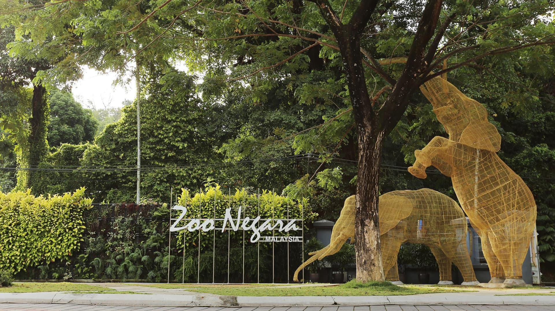 Entrada para Zoo Negara Malaysia y el Centro de Conservación del Panda - imagen 22