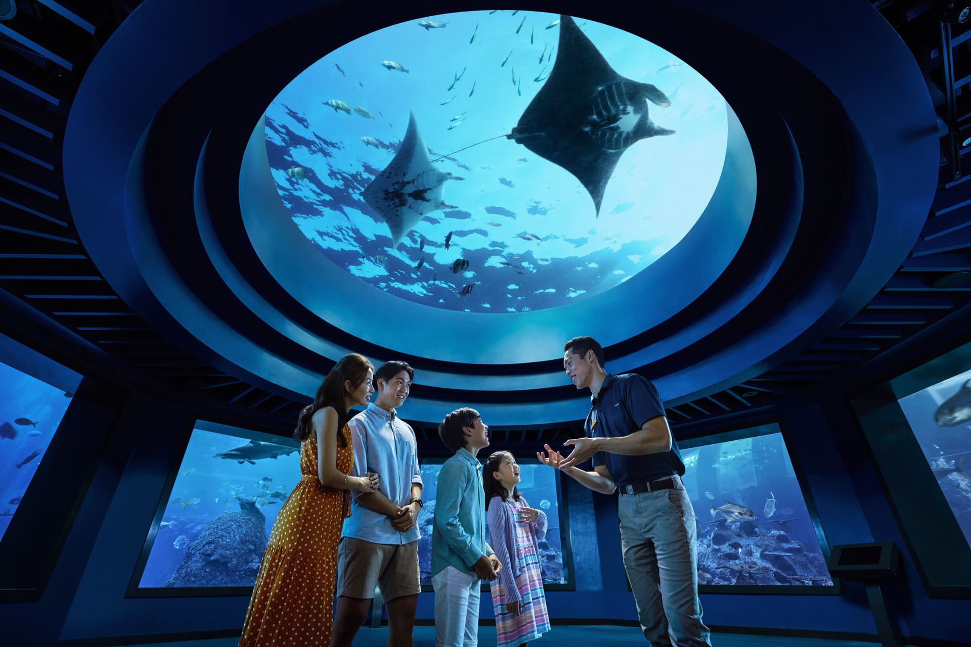COMBO: Entradas para Universal Studios Singapore + Singapore Oceanarium + Adventure Cove Waterpark - imagen 9