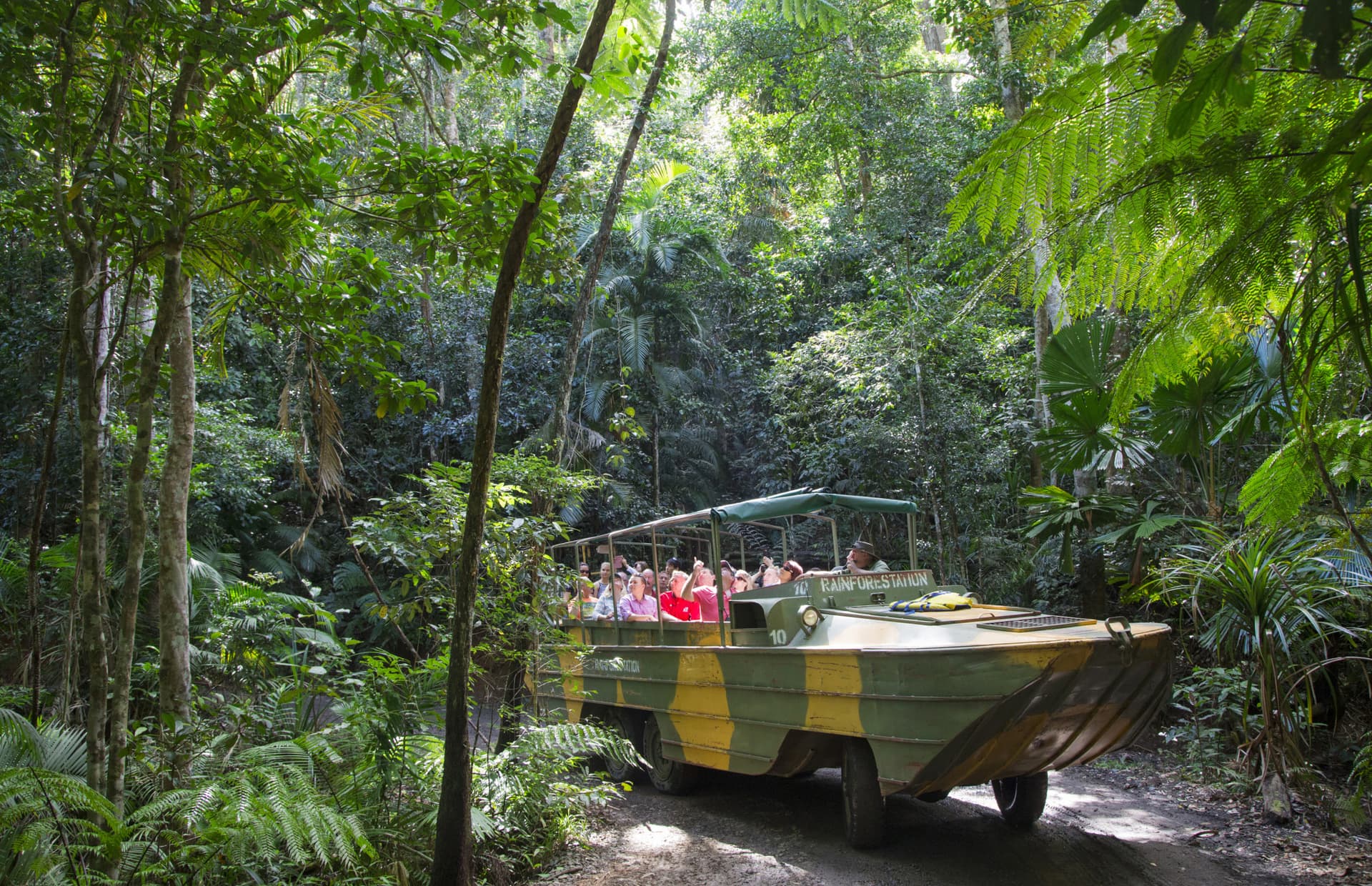 Kuranda Rainforestation Nature Park Full-Day Tour from Cairns - image 3