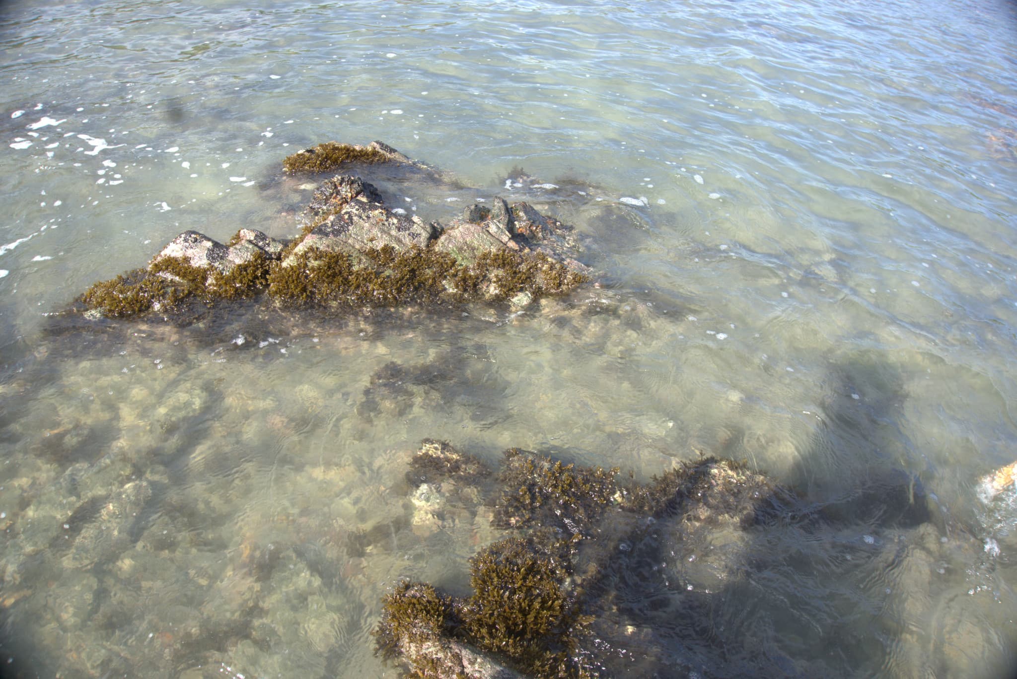 Desaru Beach and Tide Pool Walk - image 40