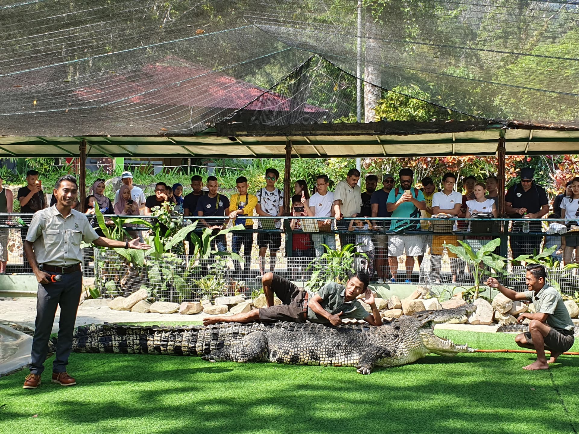 Crocodile Adventureland Langkawi - imagen 8
