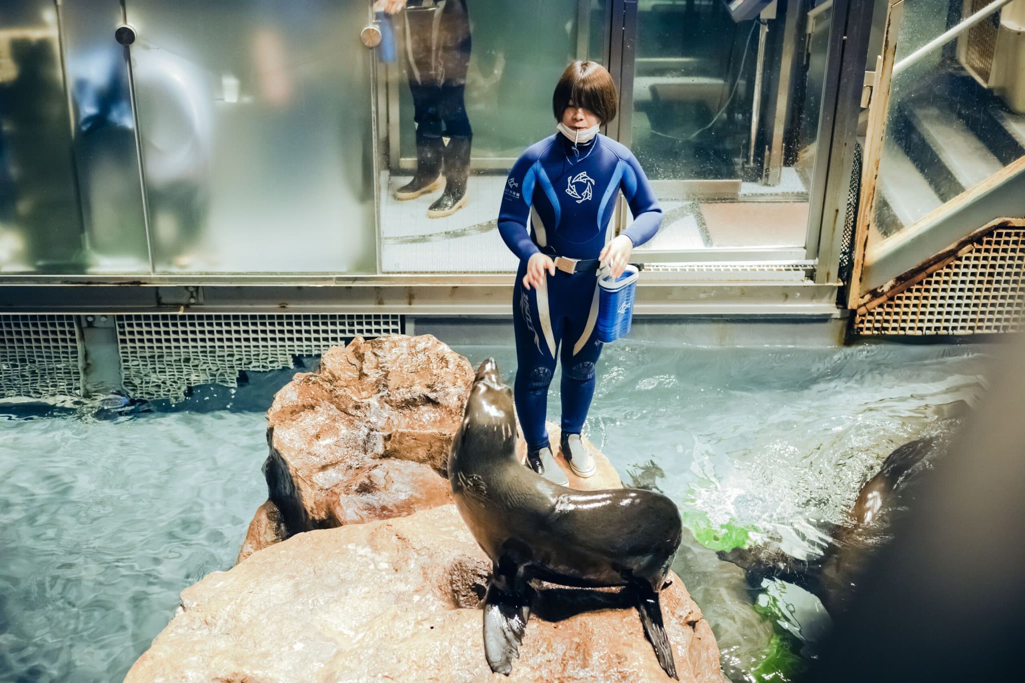 Sumida Aquarium Ticket - image 4