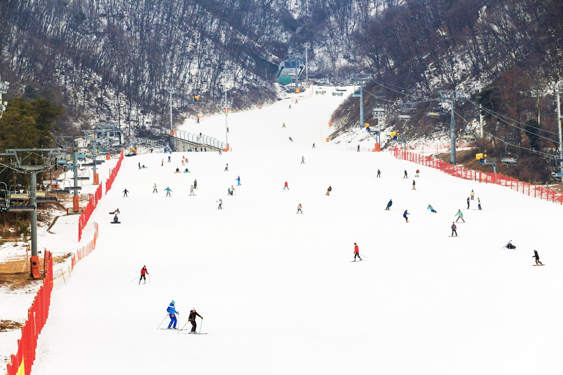 Jisan Forest Ski Resort Full-Day Tour from Seoul - 대표 이미지