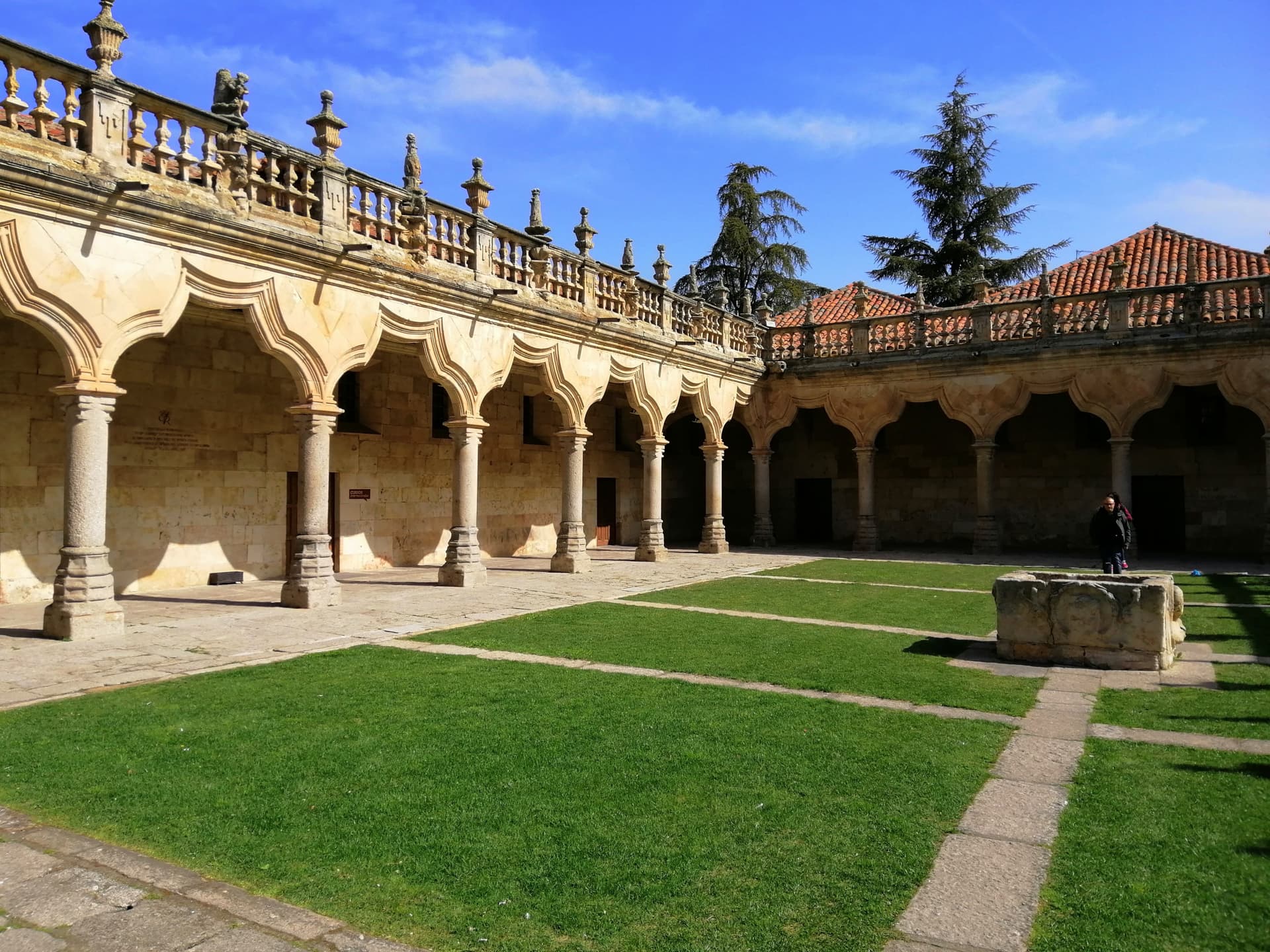 Salamanca and Avila Tour from Madrid - imagen 5