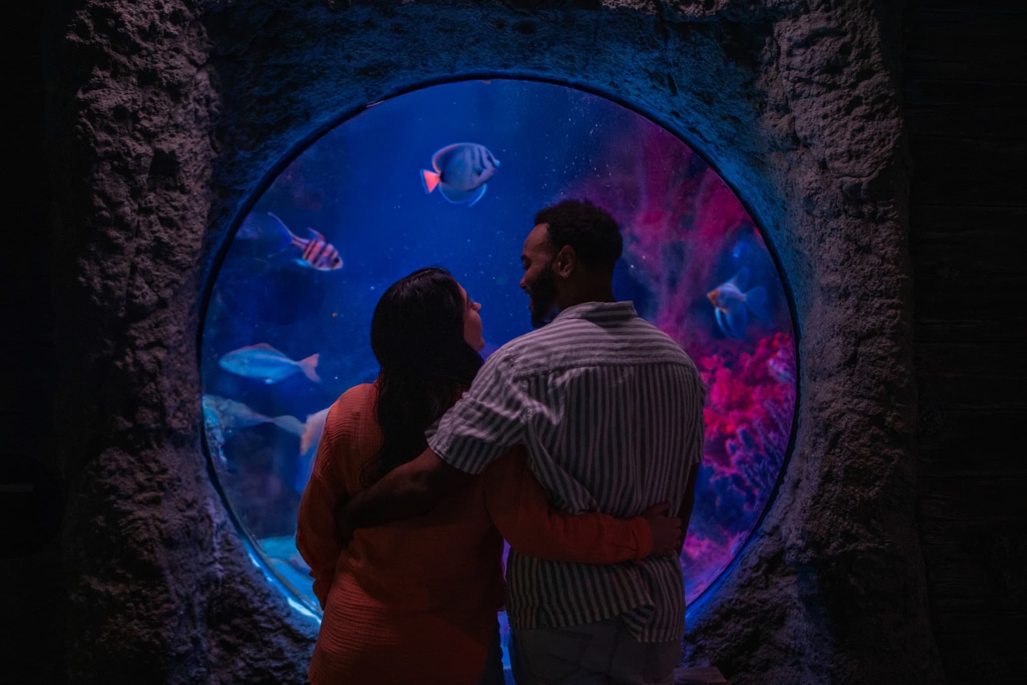 COMBO: Madame Tussauds Orlando + SEA LIFE Orlando Aquarium Ticket - image 10