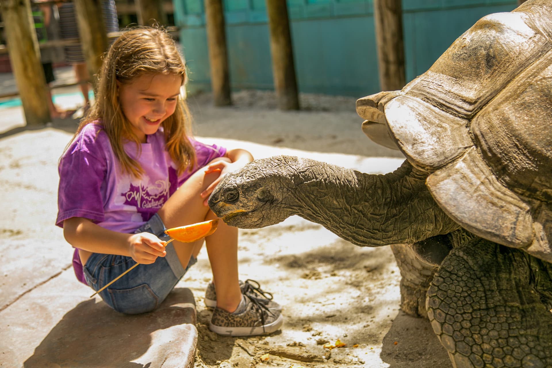 Go City Orlando Essentials Pass: 3 atracciones - imagen 17