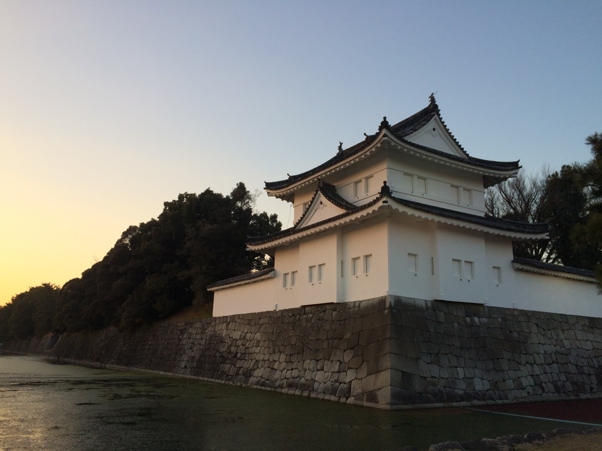 Kyoto and Nara Full-Day Tour from Kyoto - image 8