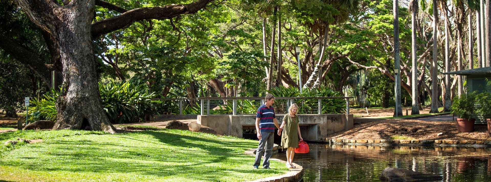 Darwin Museums and Botanic Garden Tour - imagen 4