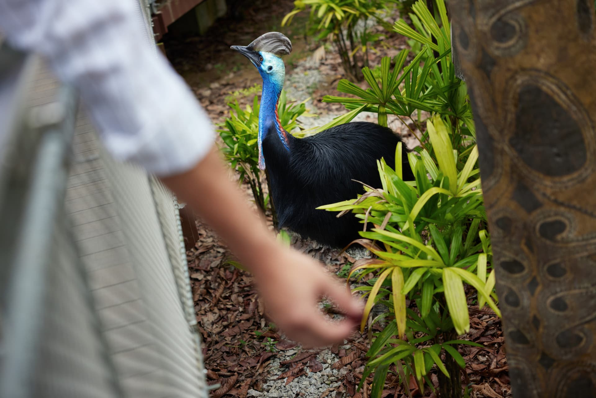COMBO: River Wonders + Bird Paradise Ticket - imagen 14