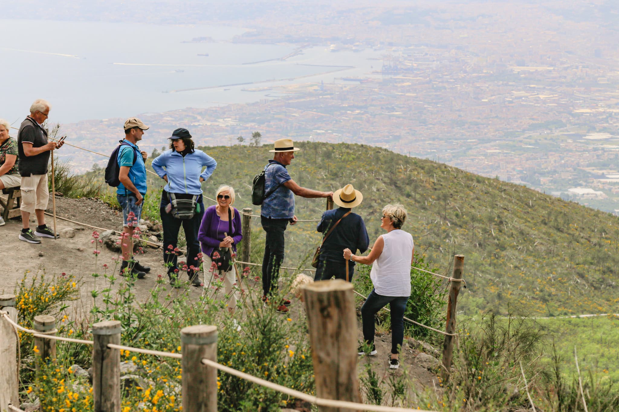 Tour of Pompeii & Mt. Vesuvius with Priority Access from Sorrento - image 14