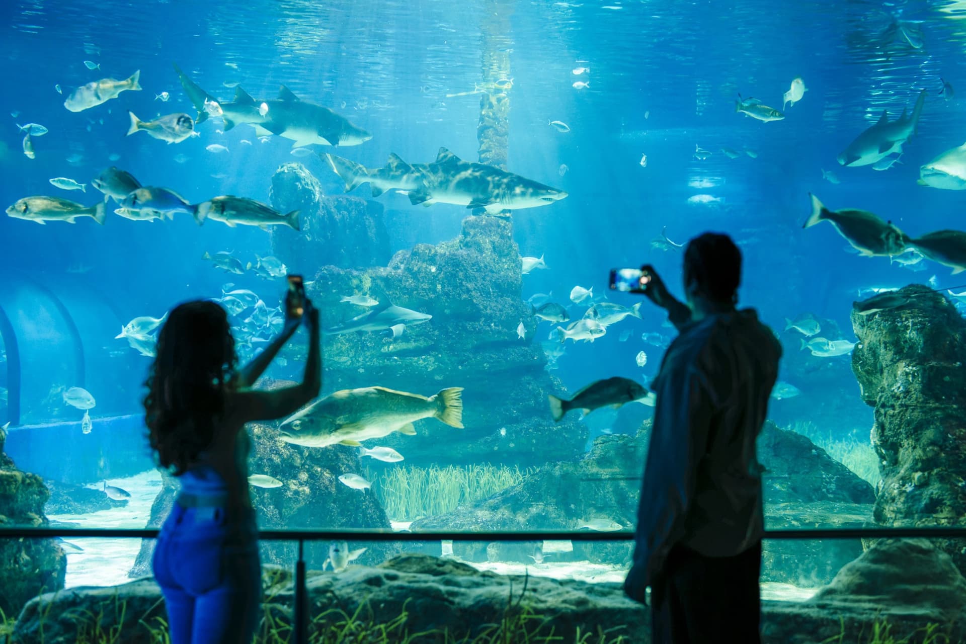 Barcelona Aquarium Ticket - image 9