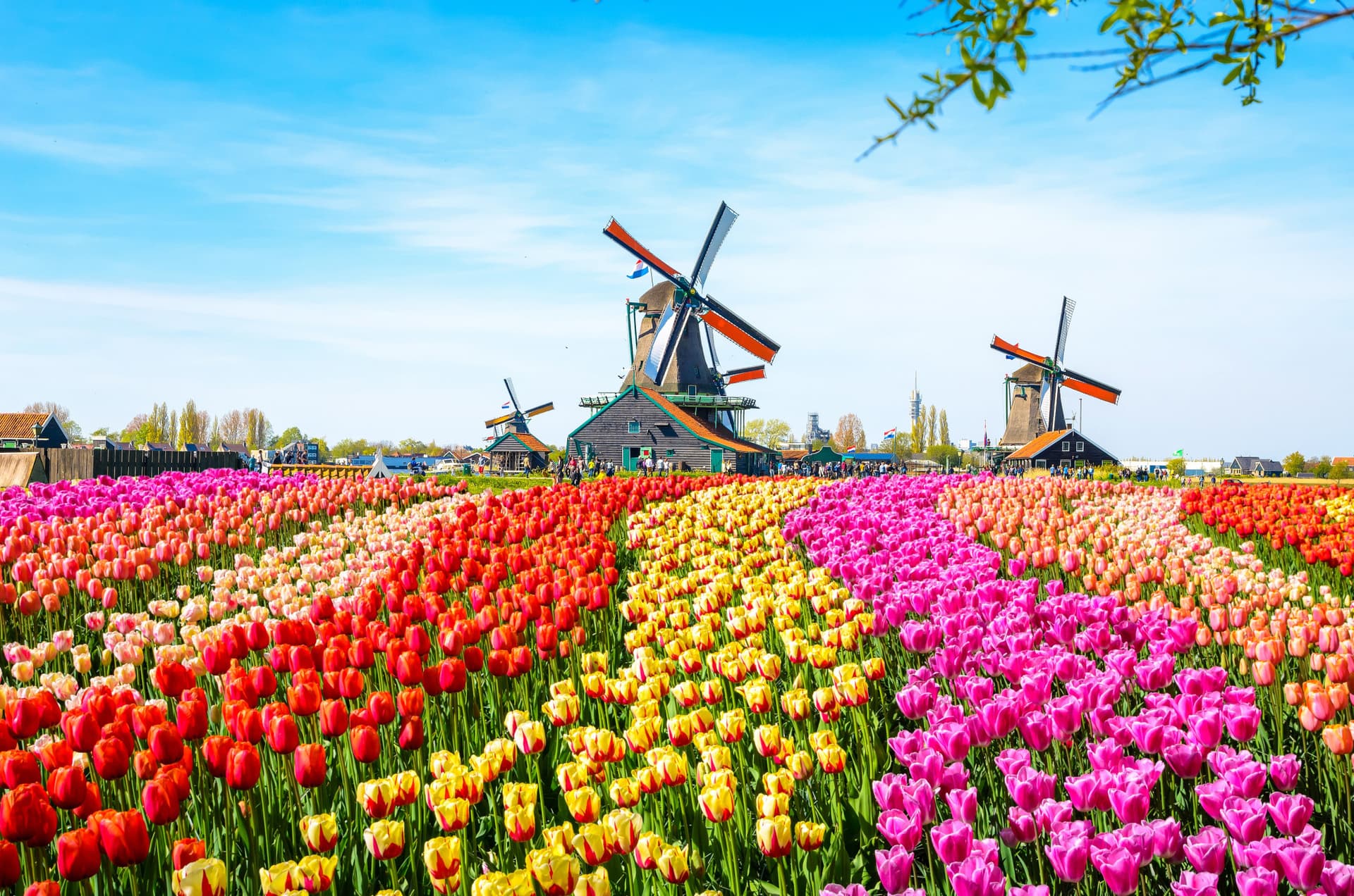 Go City Amsterdam Essentials Pass: 3 Attractions - image 8