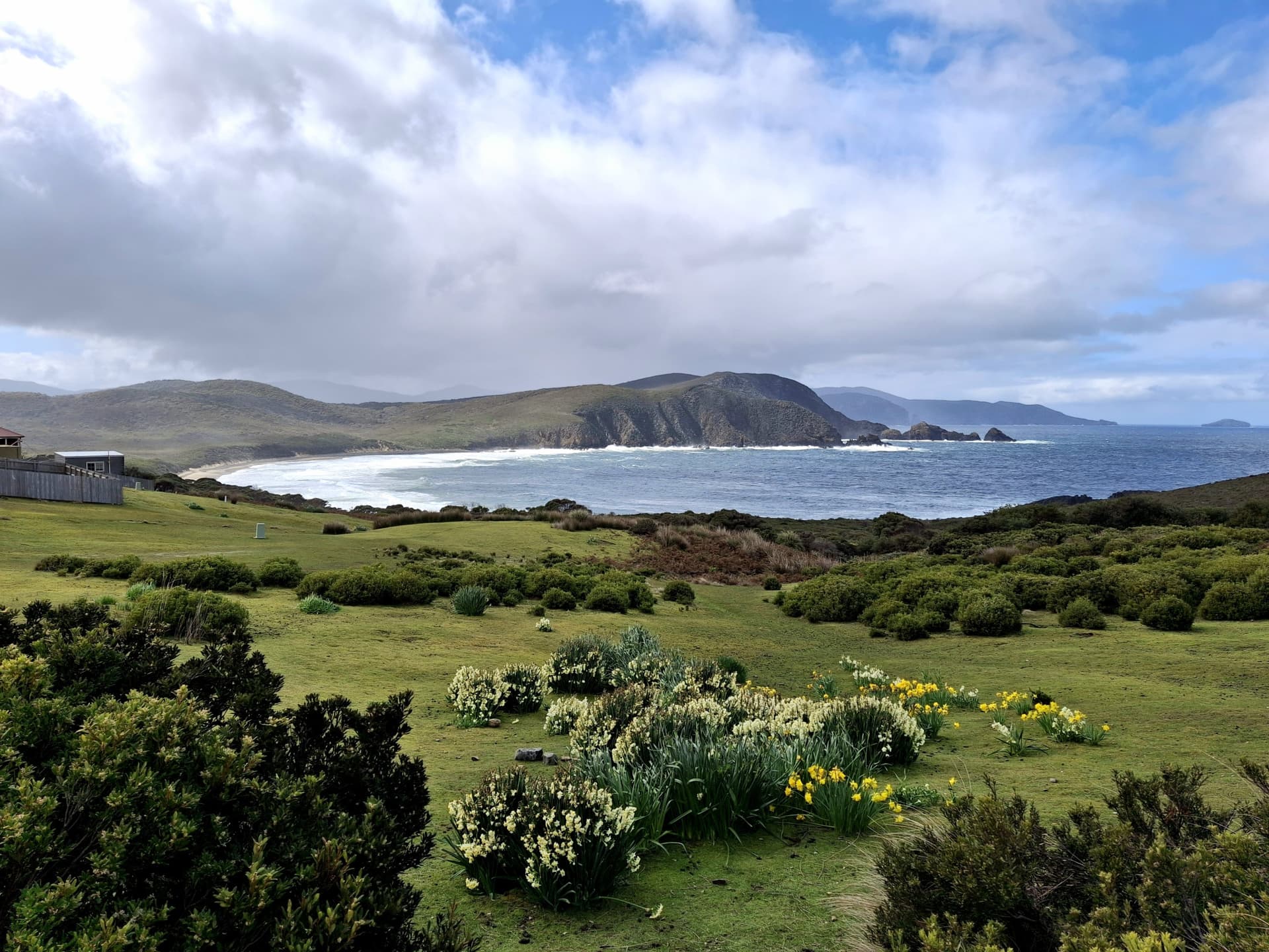 Tour de día completo de gastronomía, paisajes y faro en Bruny Island desde Hobart - imagen 4