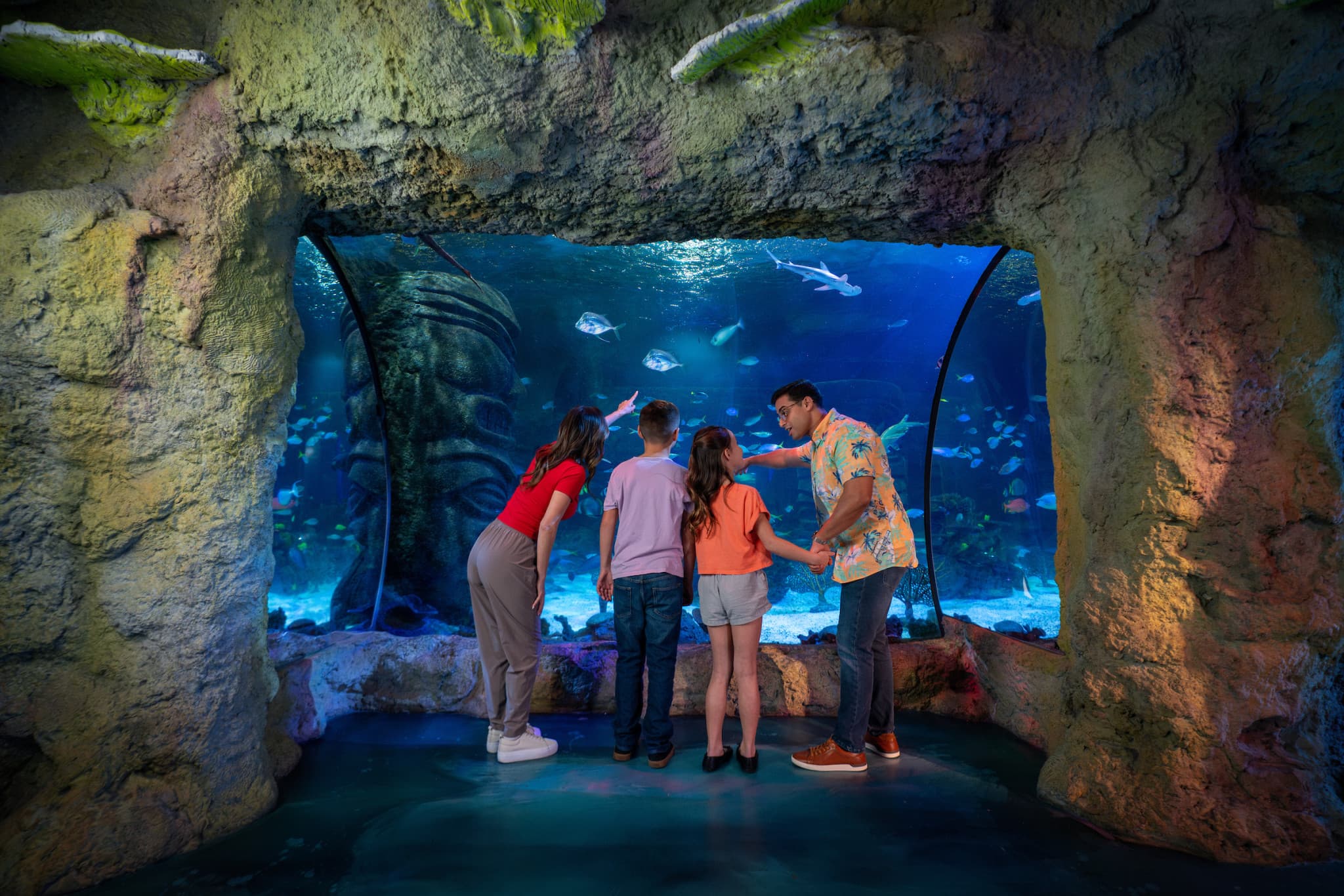 COMBO: Madame Tussauds Orlando + SEA LIFE Orlando Aquarium Ticket - image 9