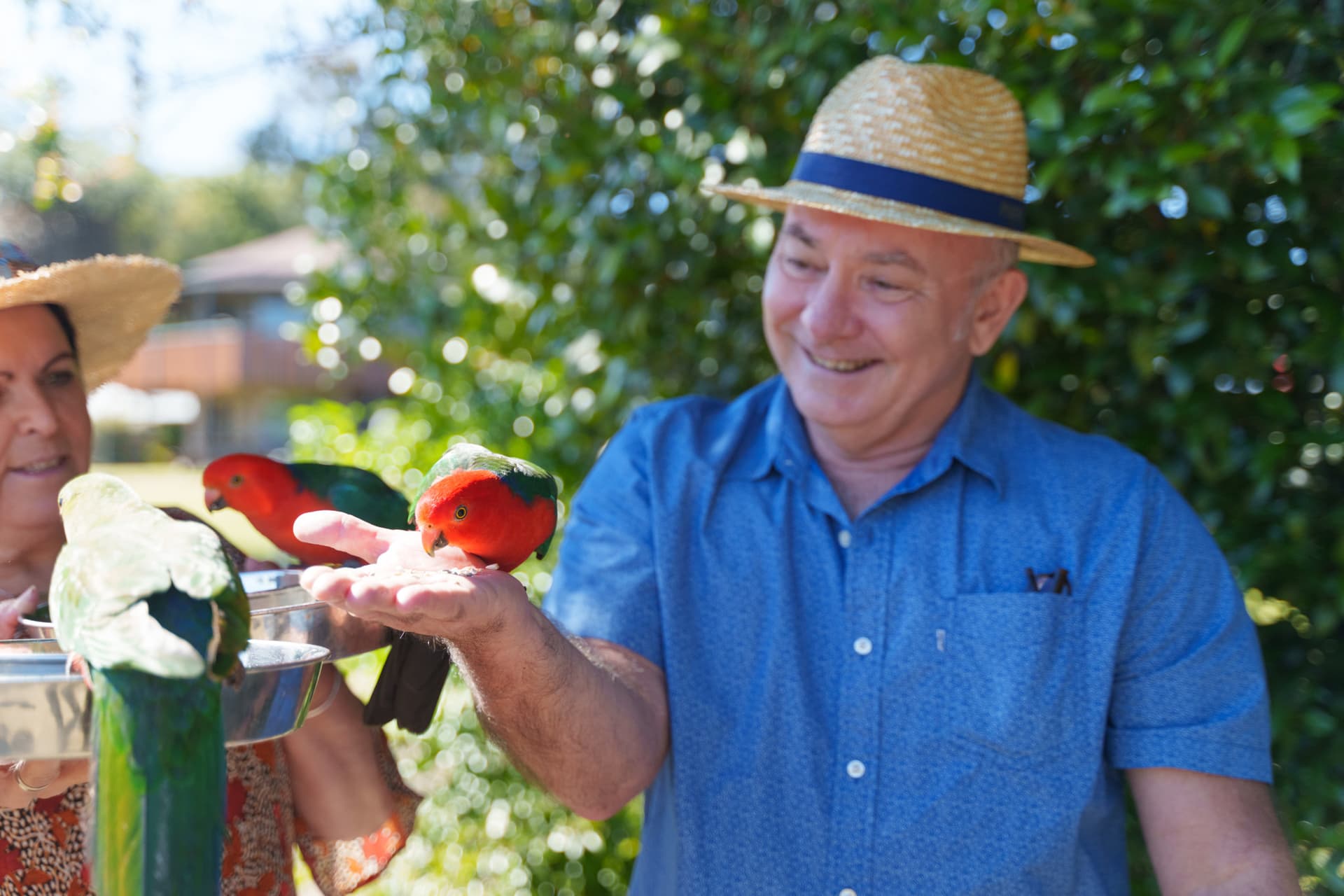 Lamington National Park Tour: O'Reilly's Rainforest Retreat and Canungra Valley Vineyard - 이미지 14