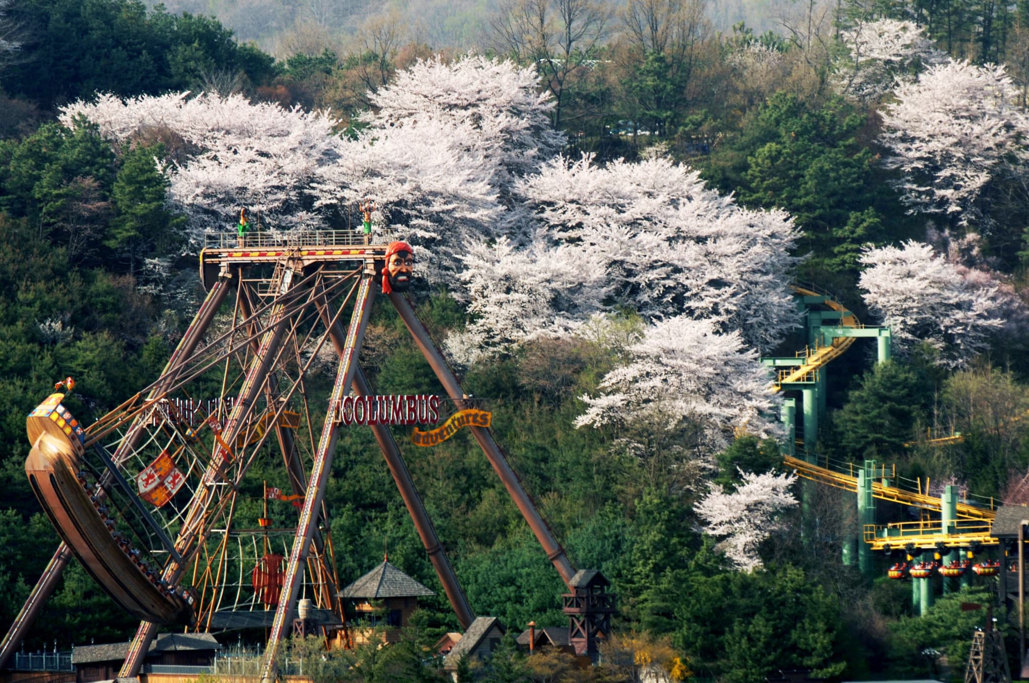 Everland Theme Park Ticket - image 13