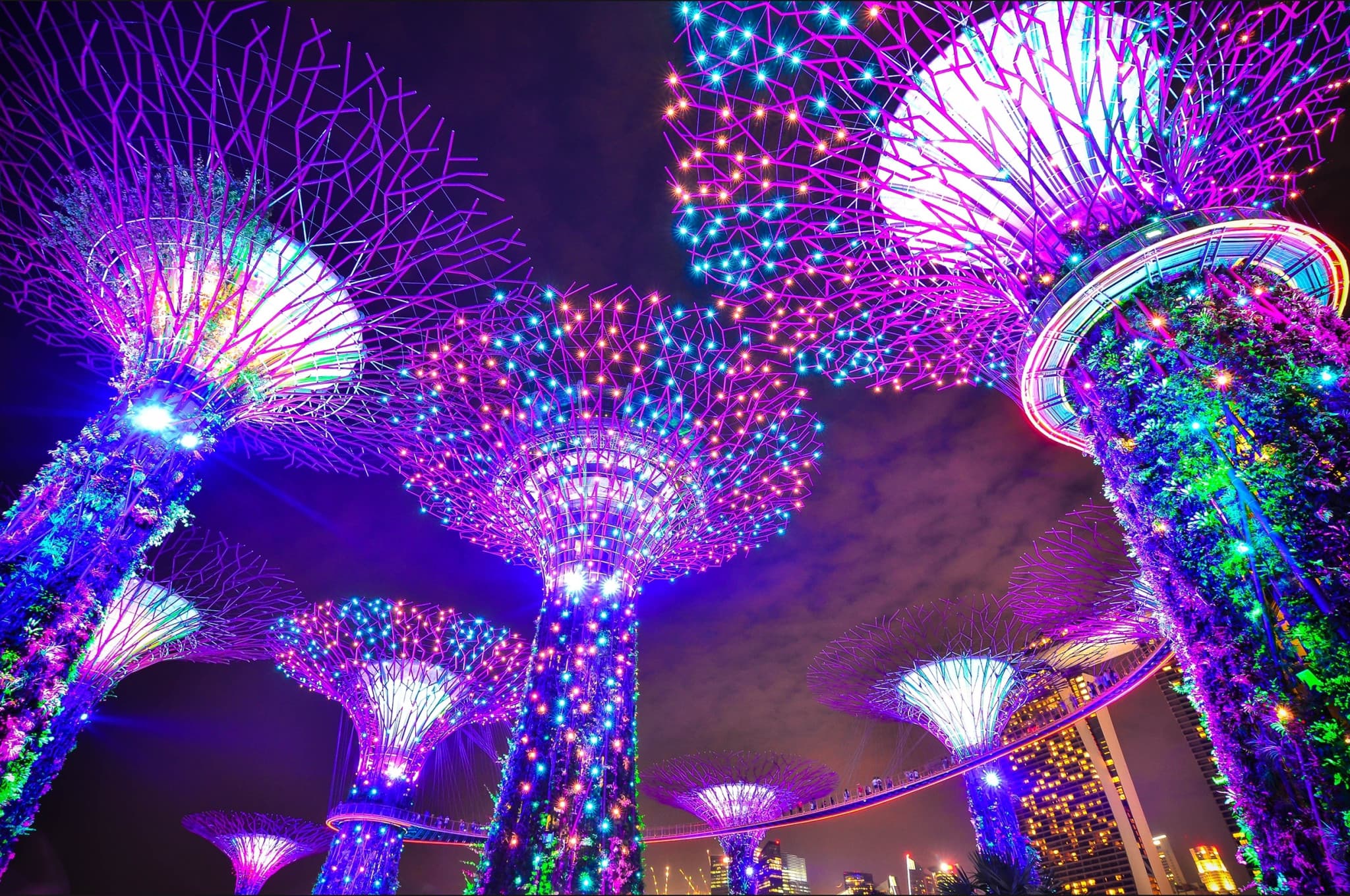 COMBO: Skyline Luge Singapore + Gardens by the Bay Ticket - image 15