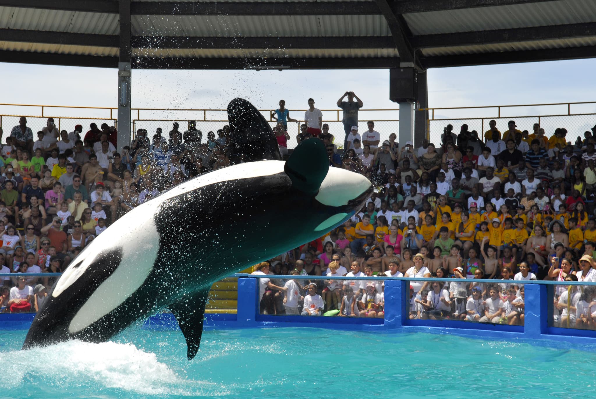 Go City Miami Explorer Pass: Save up to 50% on Attractions - image 24