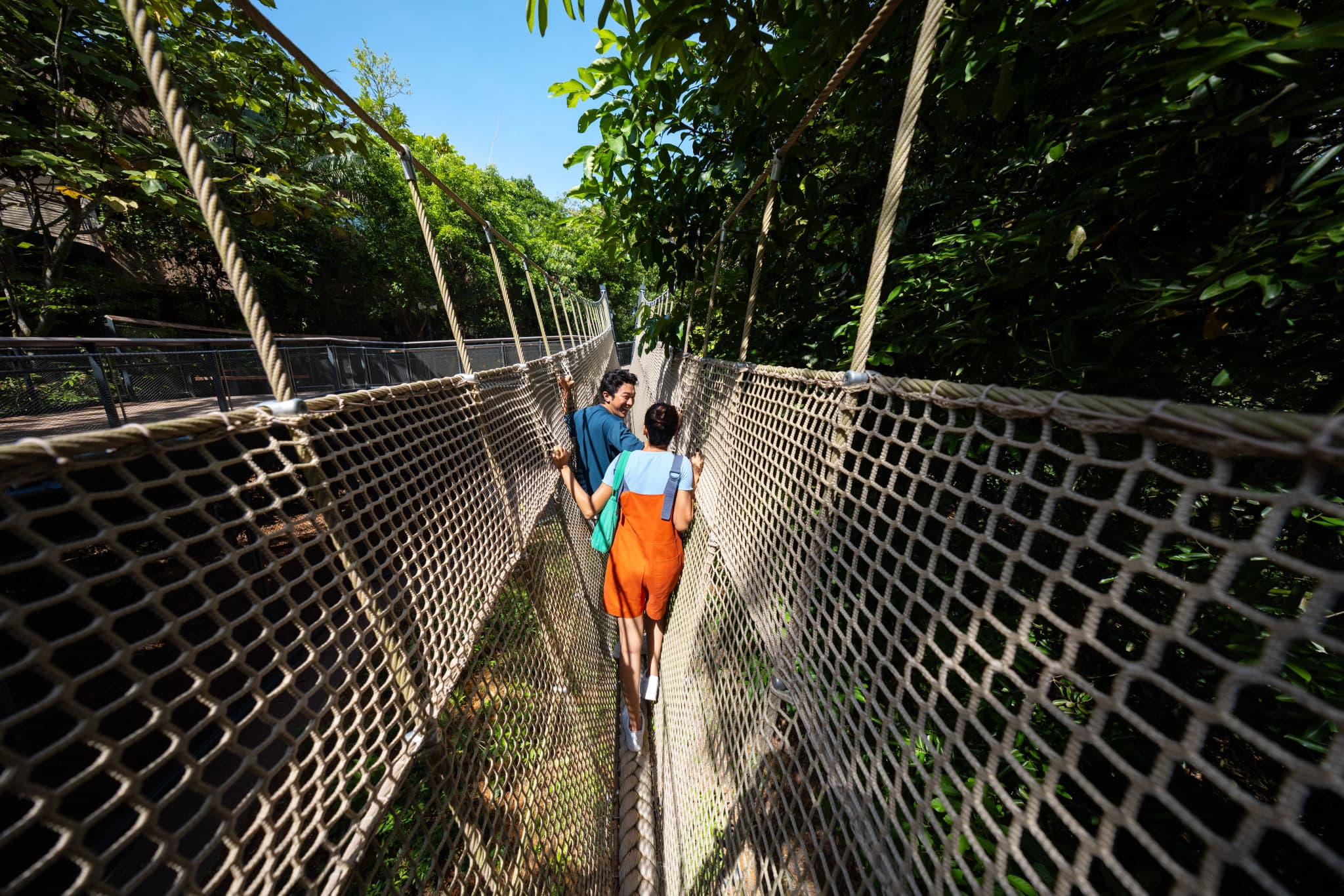 Rainforest Wild Adventure Ticket - image 3