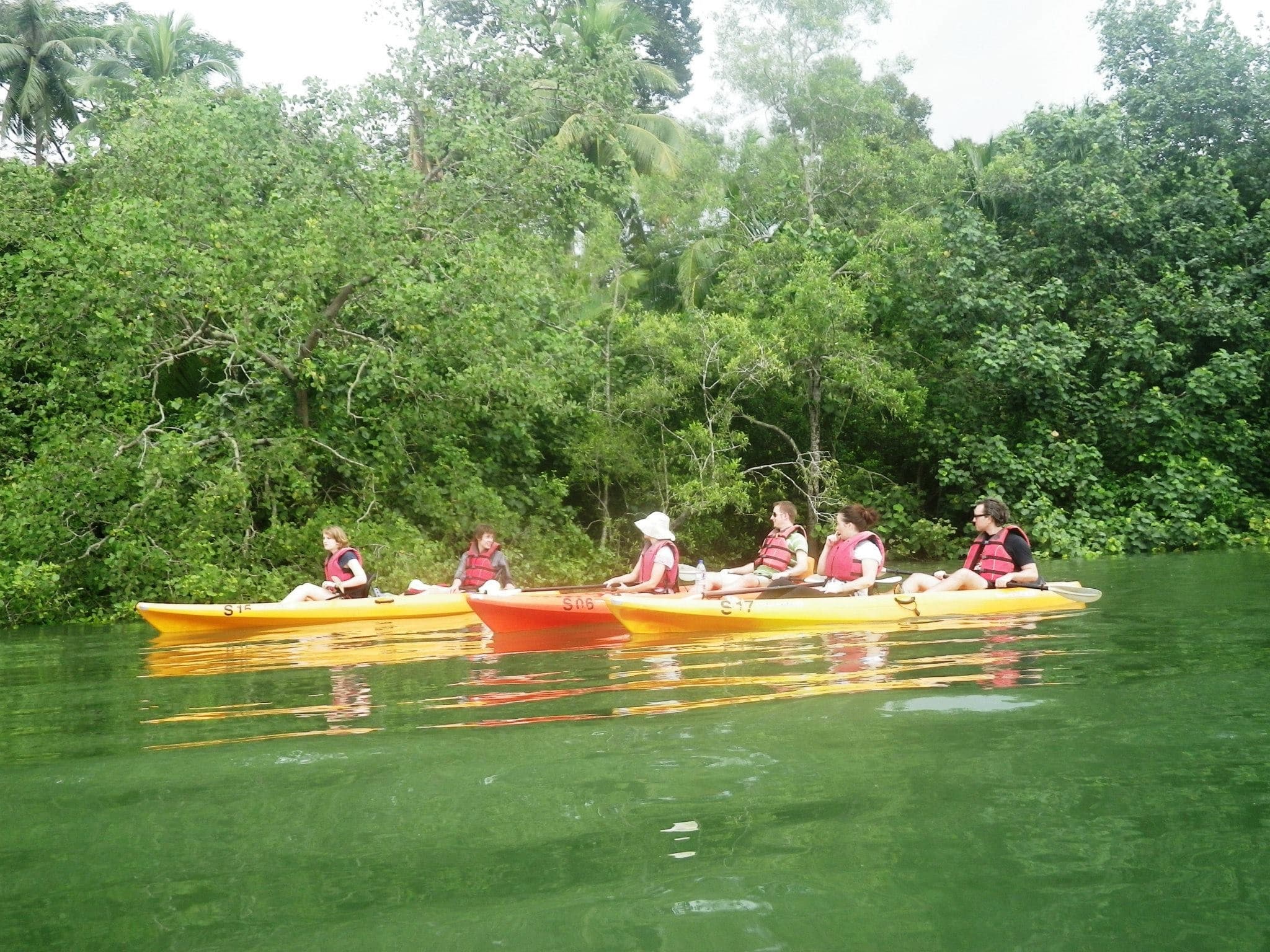Pulau Ubin Kayaking - image 5