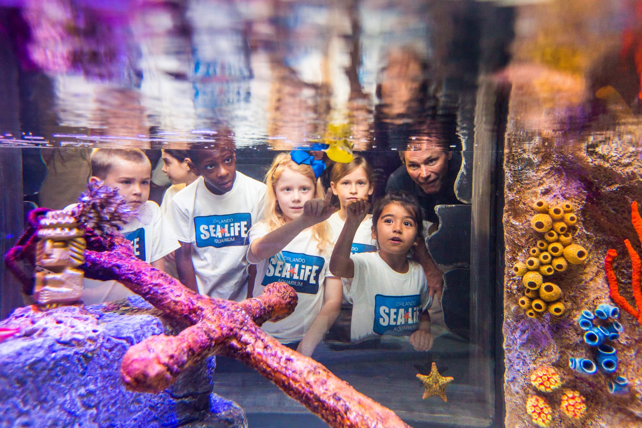Go City Orlando Explorer Pass: Save up to 50% on Attractions - image 24