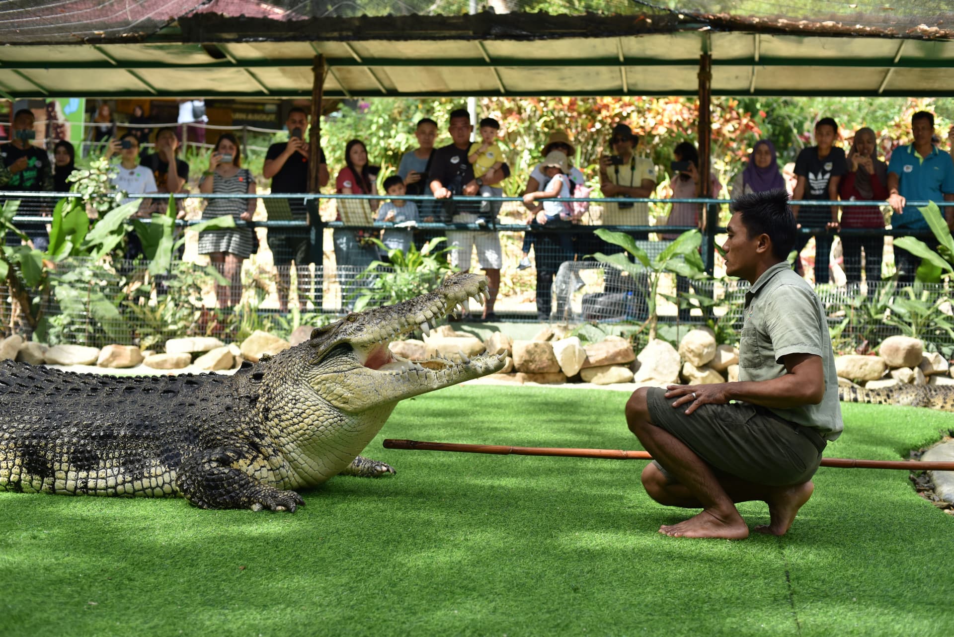 Crocodile Adventureland Langkawi - imagen 10