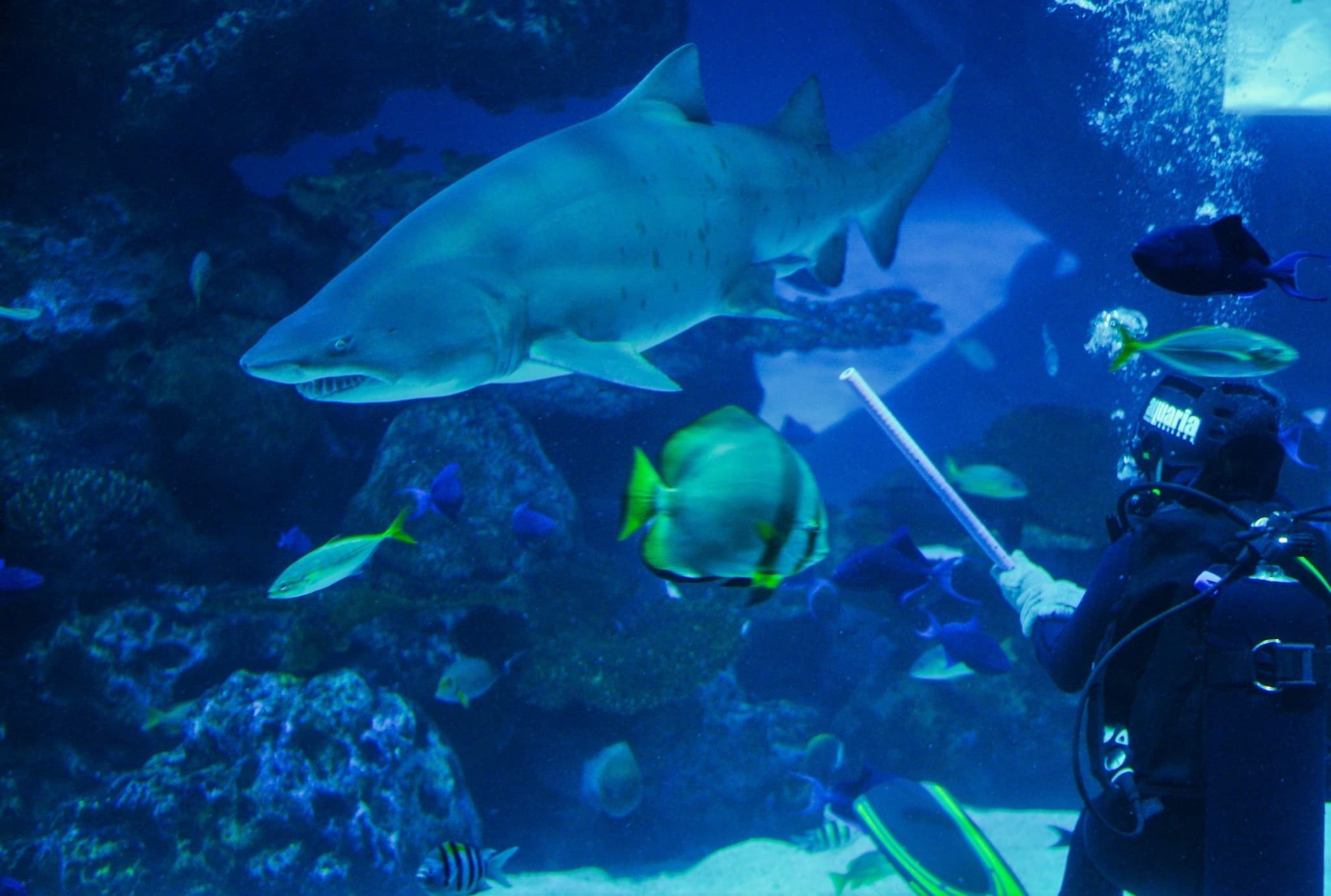 Aquaria Phuket - image 22