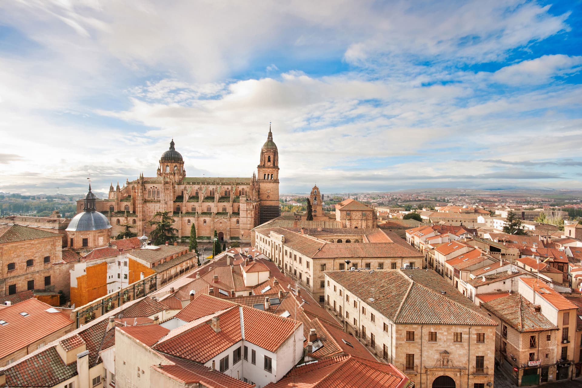 Salamanca and Avila Tour from Madrid - imagen principal