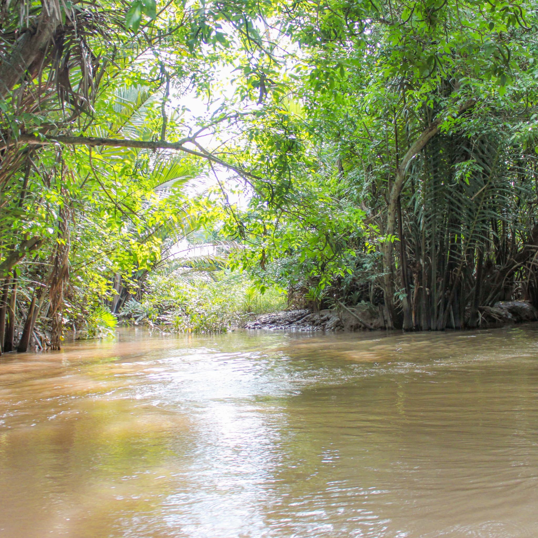 Cu Chi Tunnels and Mekong Delta Full-Day Tour from Ho Chi Minh - image 15
