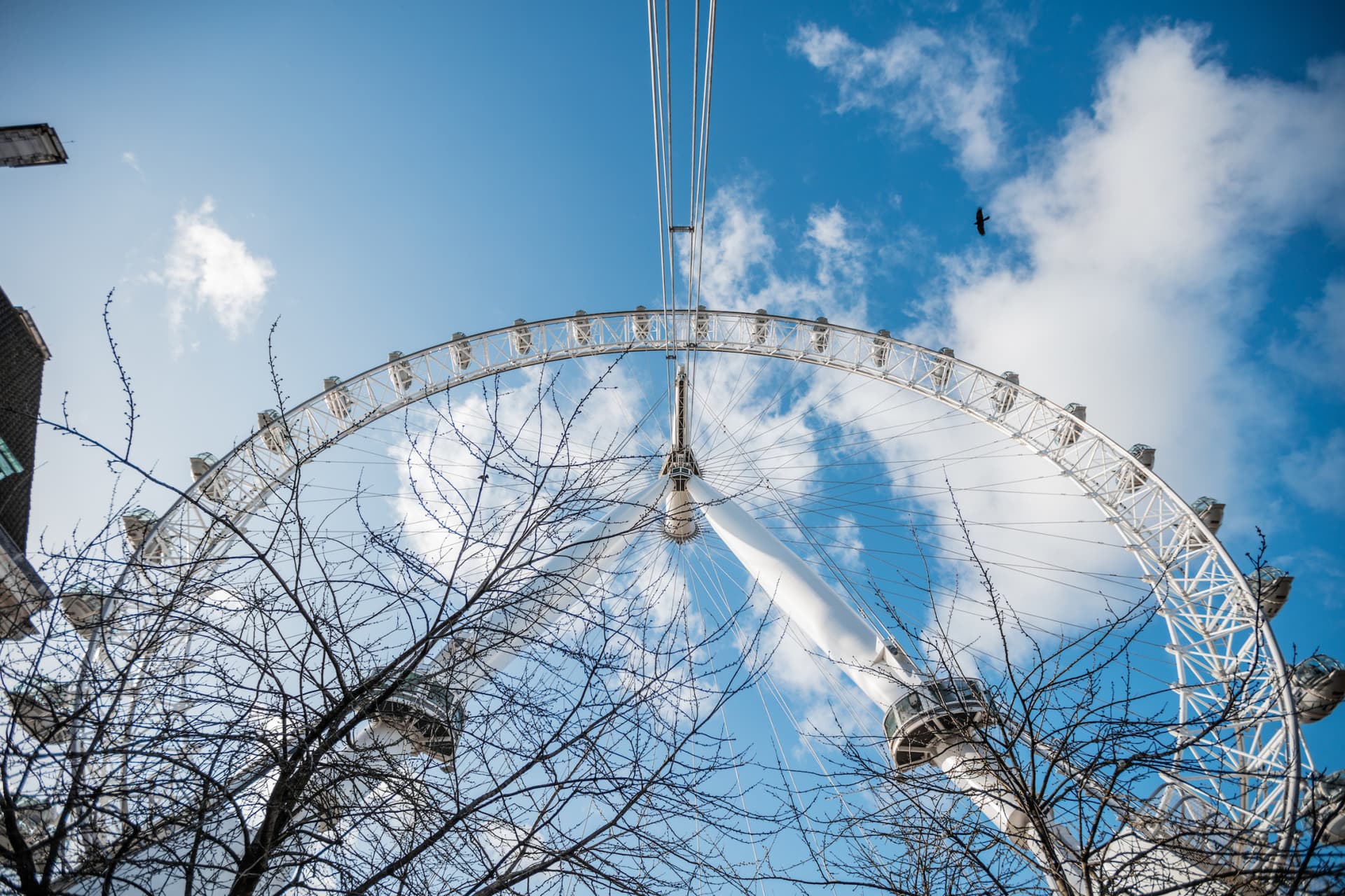 COMBO: Entrada para London Eye + The London Dungeon - imagen 5