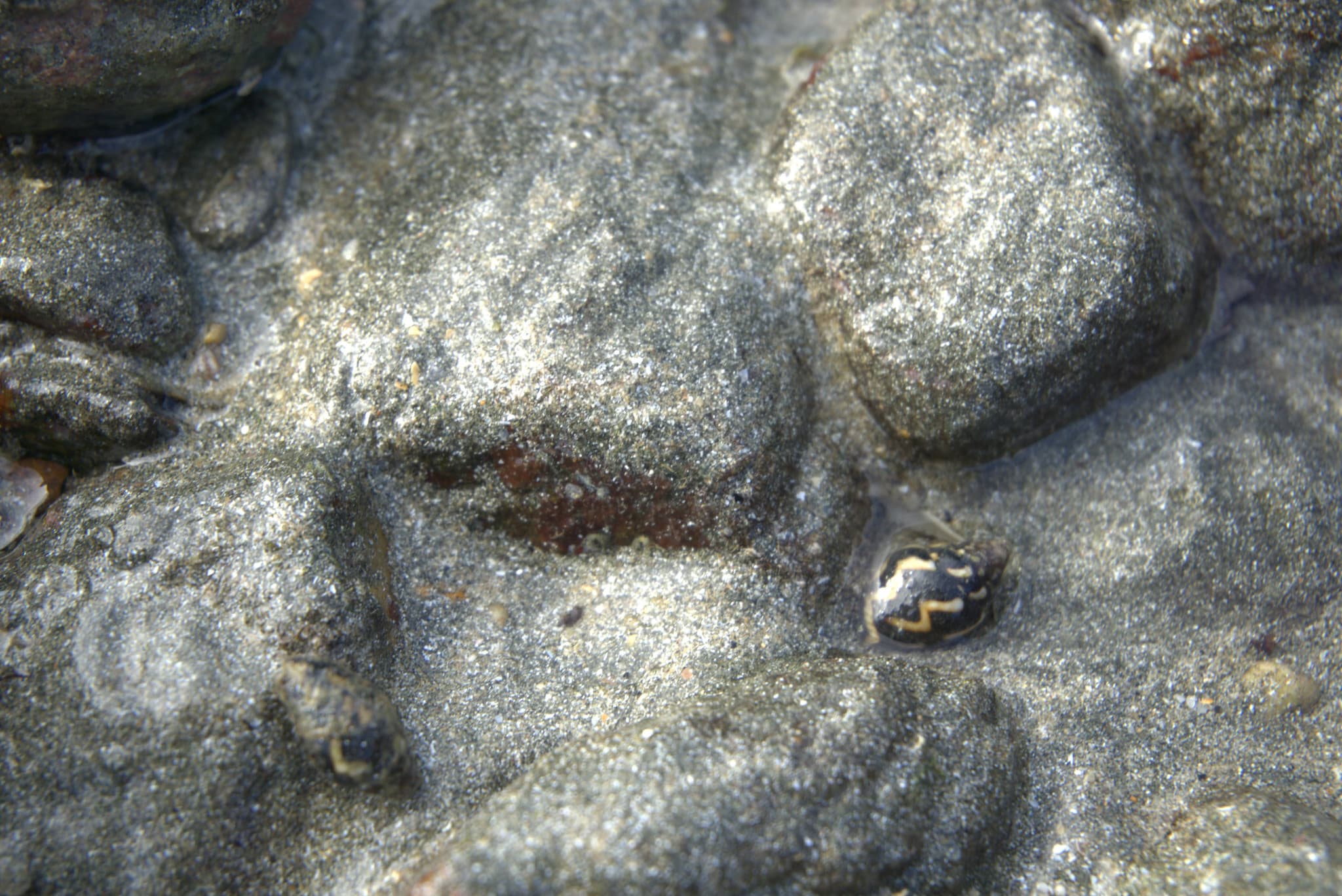 Desaru Beach and Tide Pool Walk - image 25