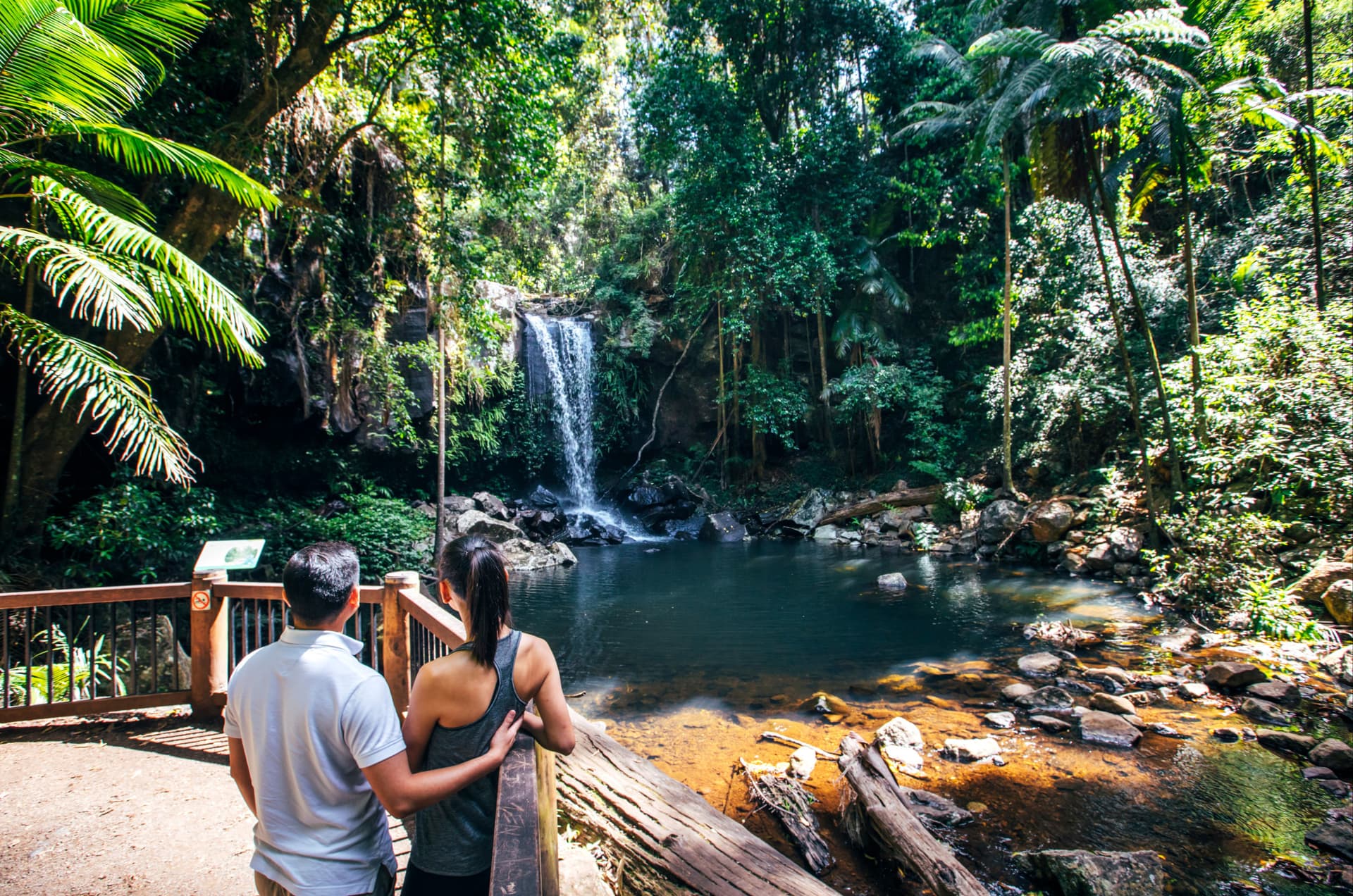 Tour de canguros y koalas con té de la mañana desde Gold Coast - imagen 4