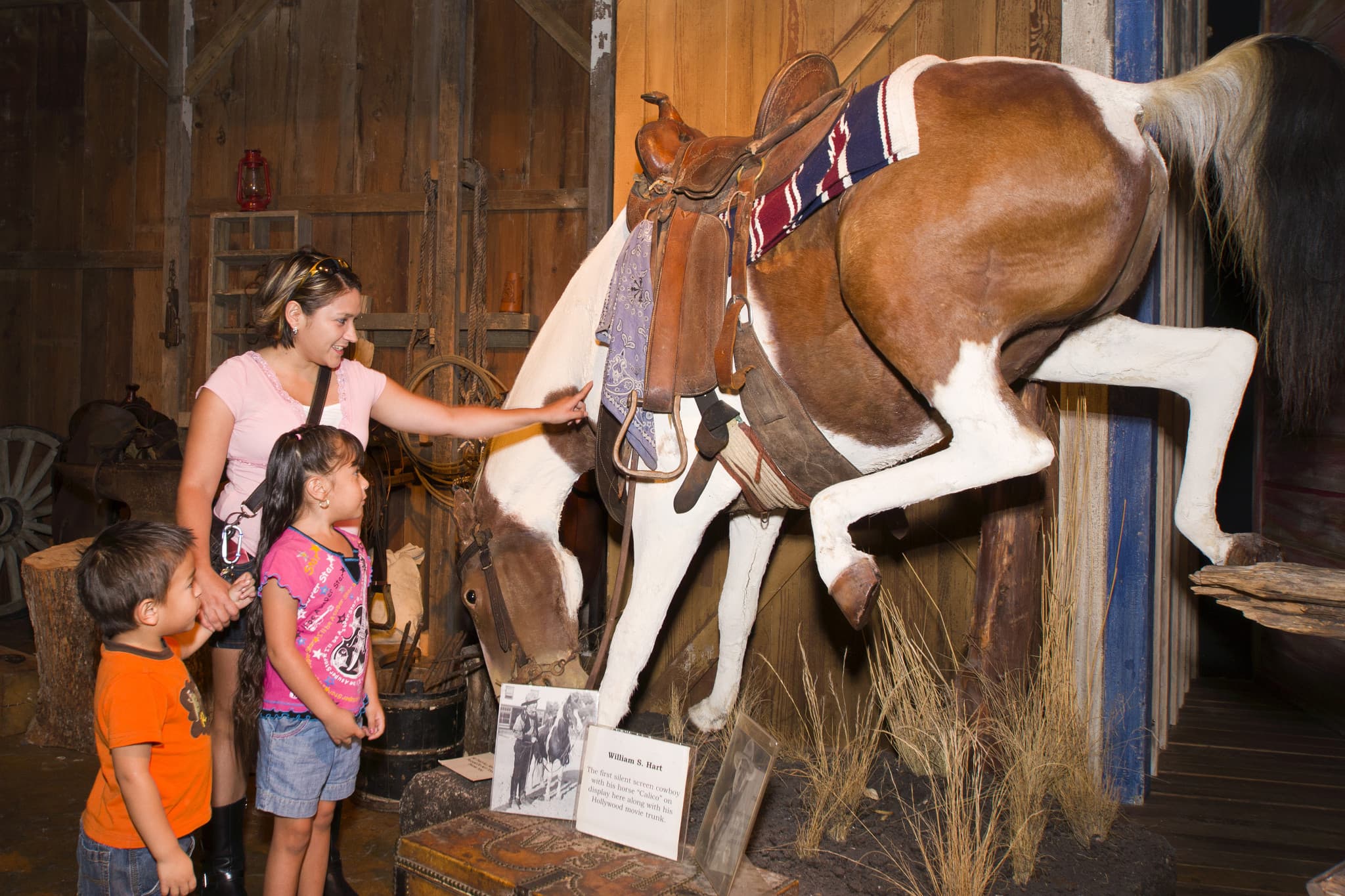 Go City San Antonio Highlights Pass: 3 Attractions - image 13